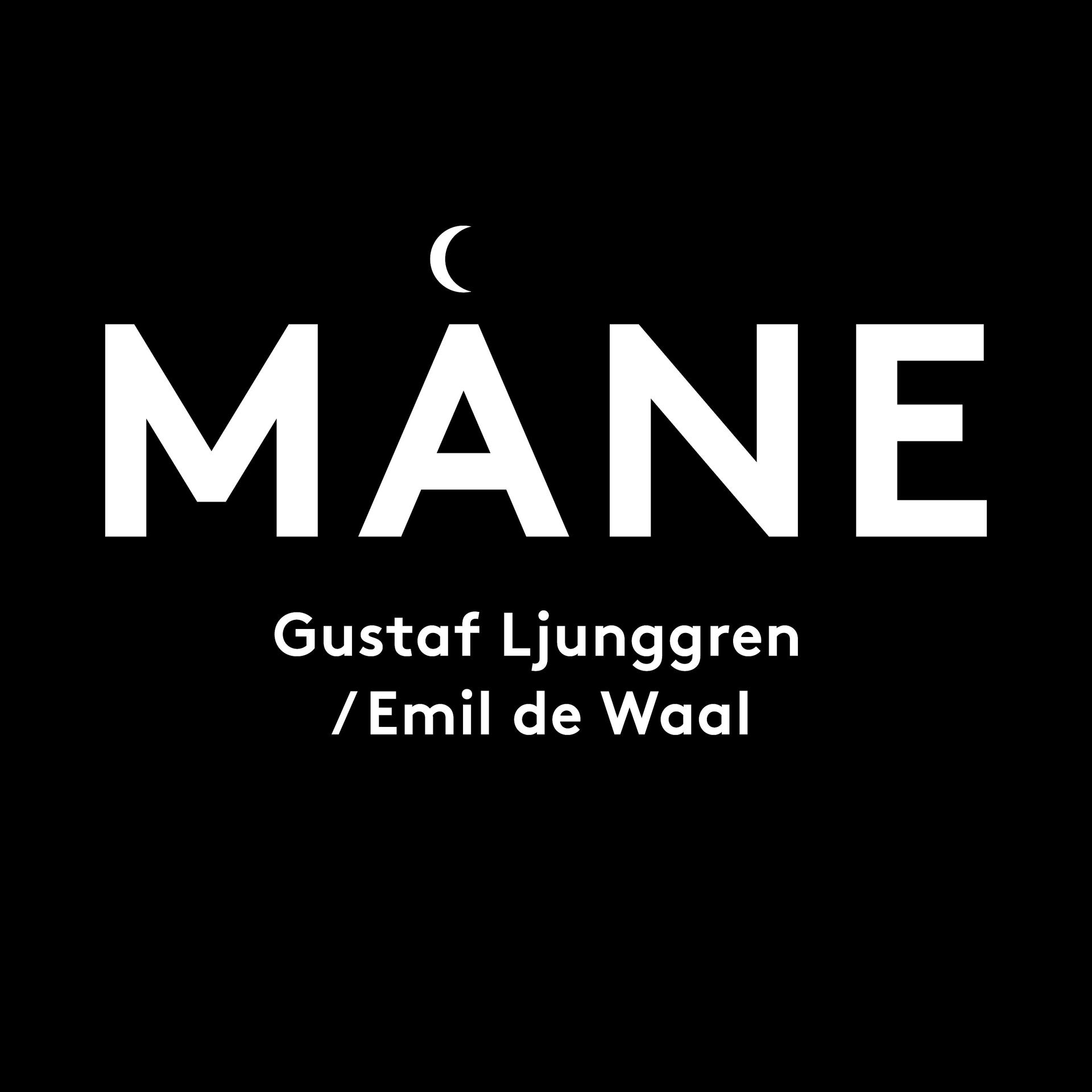 Постер альбома Måne