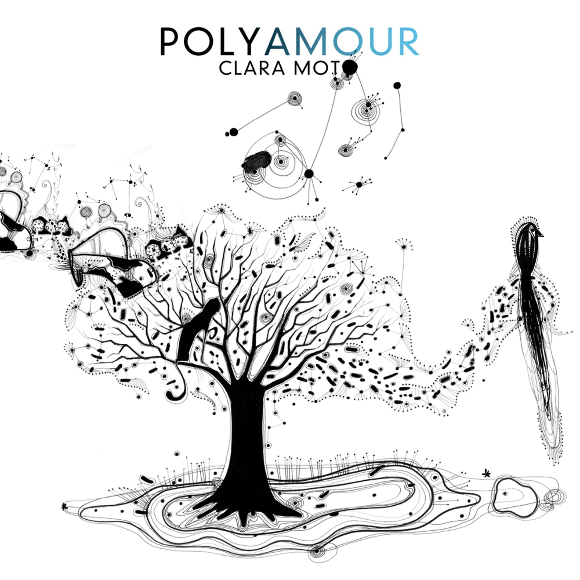 Постер альбома Polyamour (Bonus Track Version)