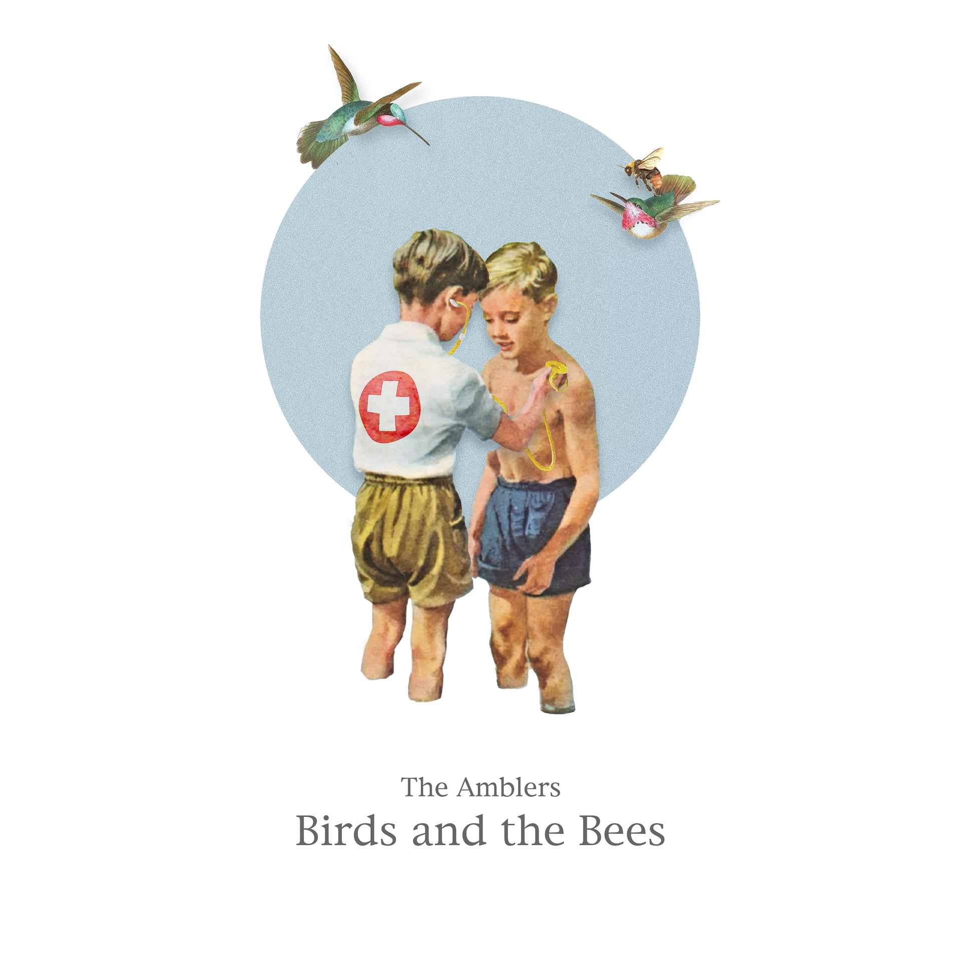 Постер альбома Birds and the Bees