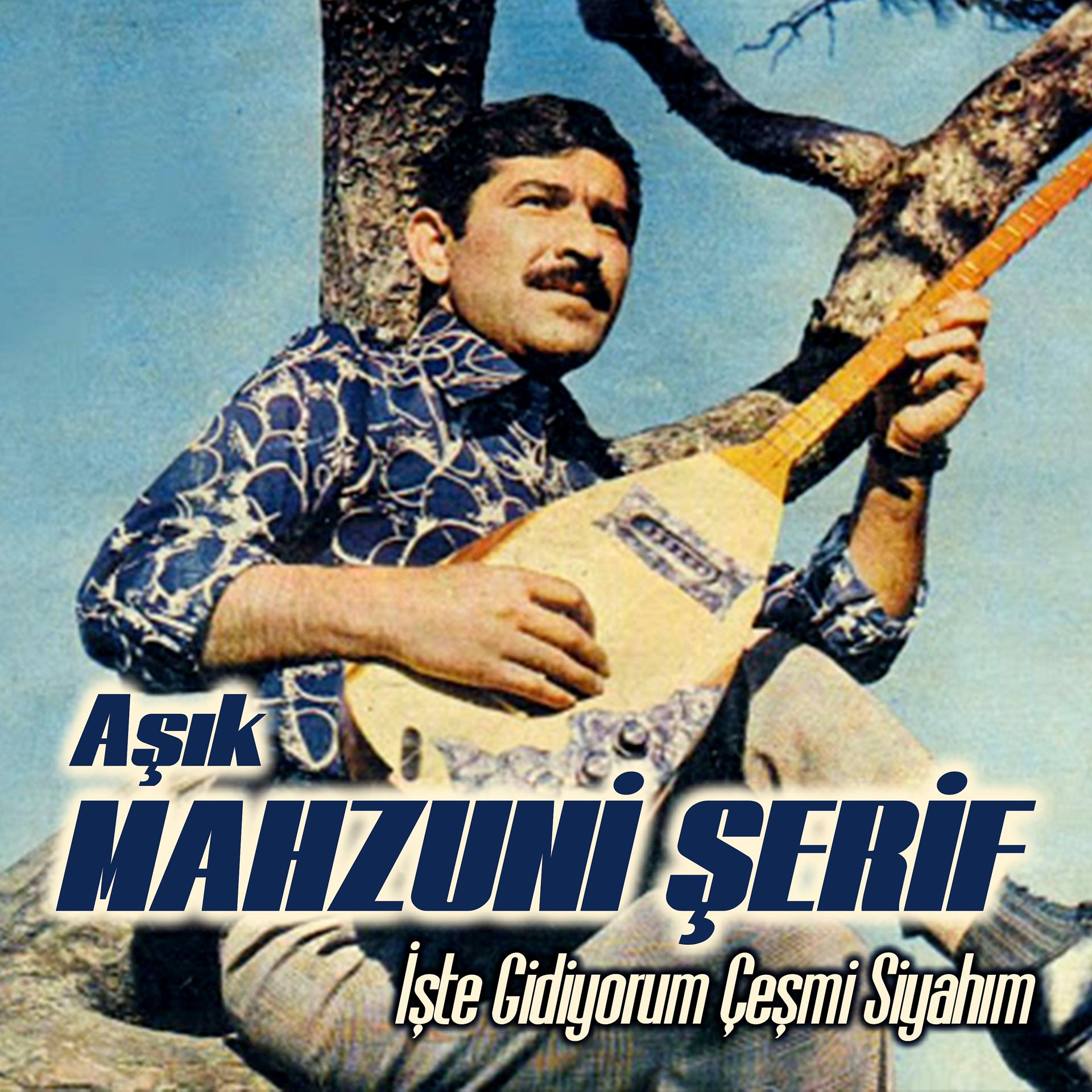 Постер альбома işte Gidiyorum Çeşm-i Siyahım