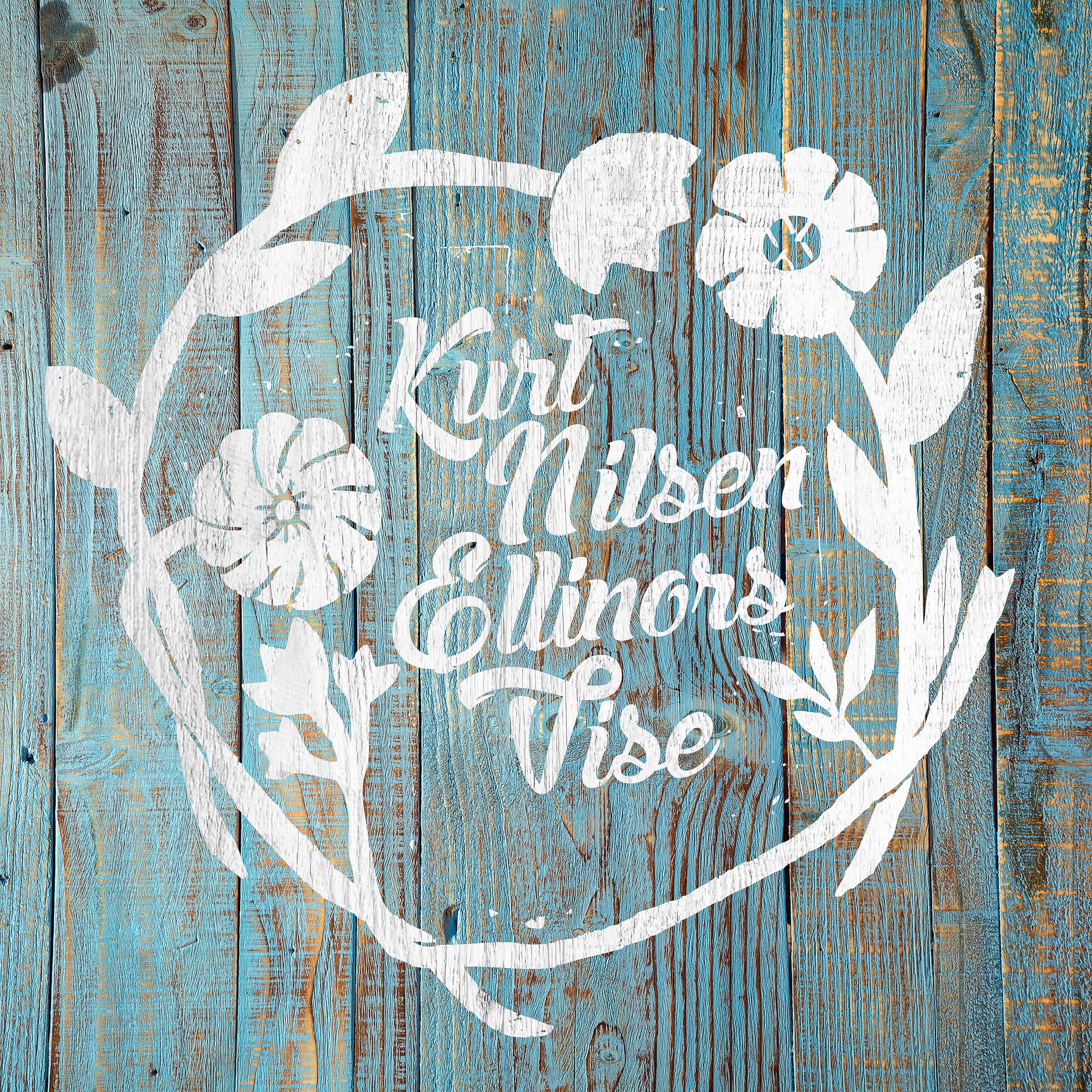 Постер альбома Ellinors vise