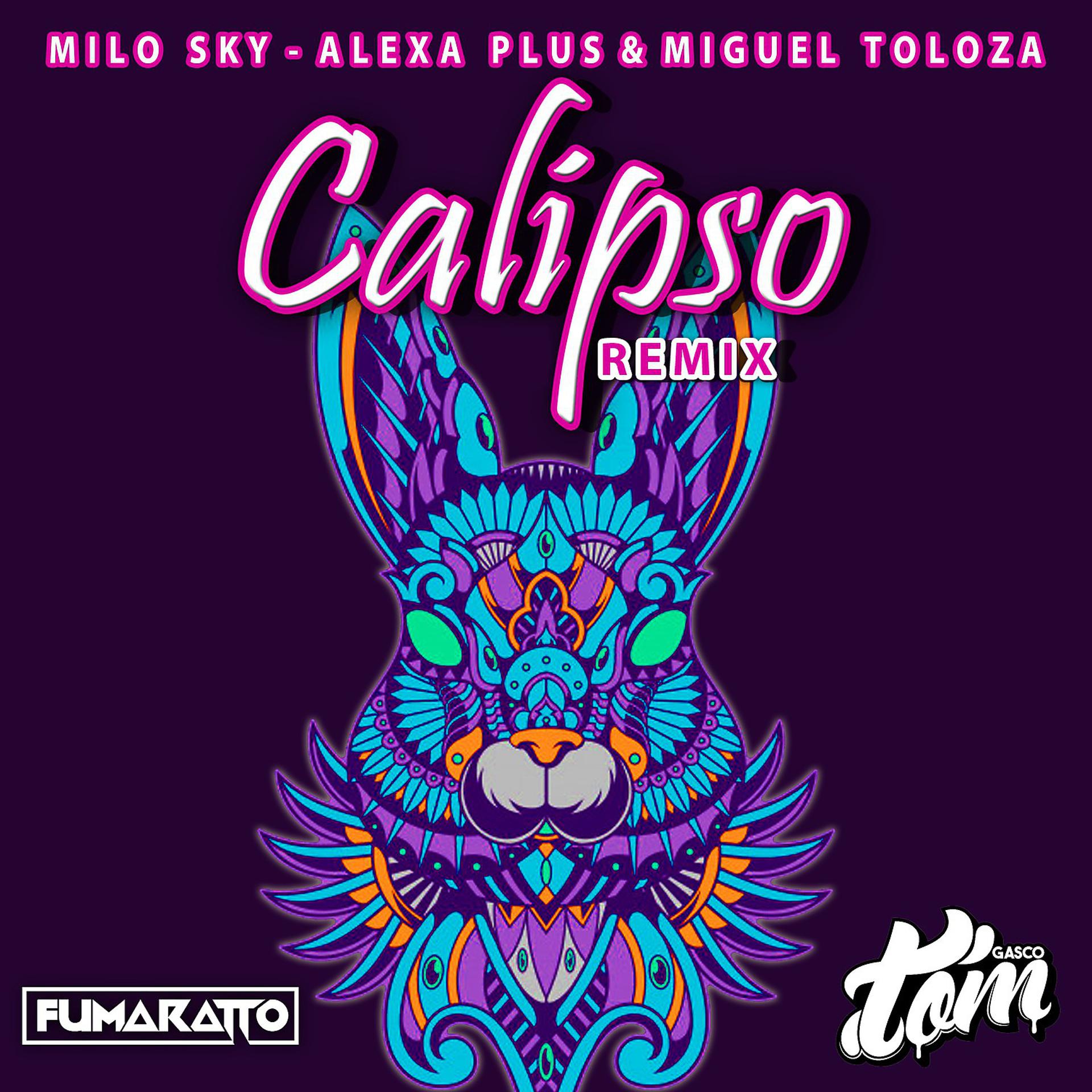 Постер альбома Calipso