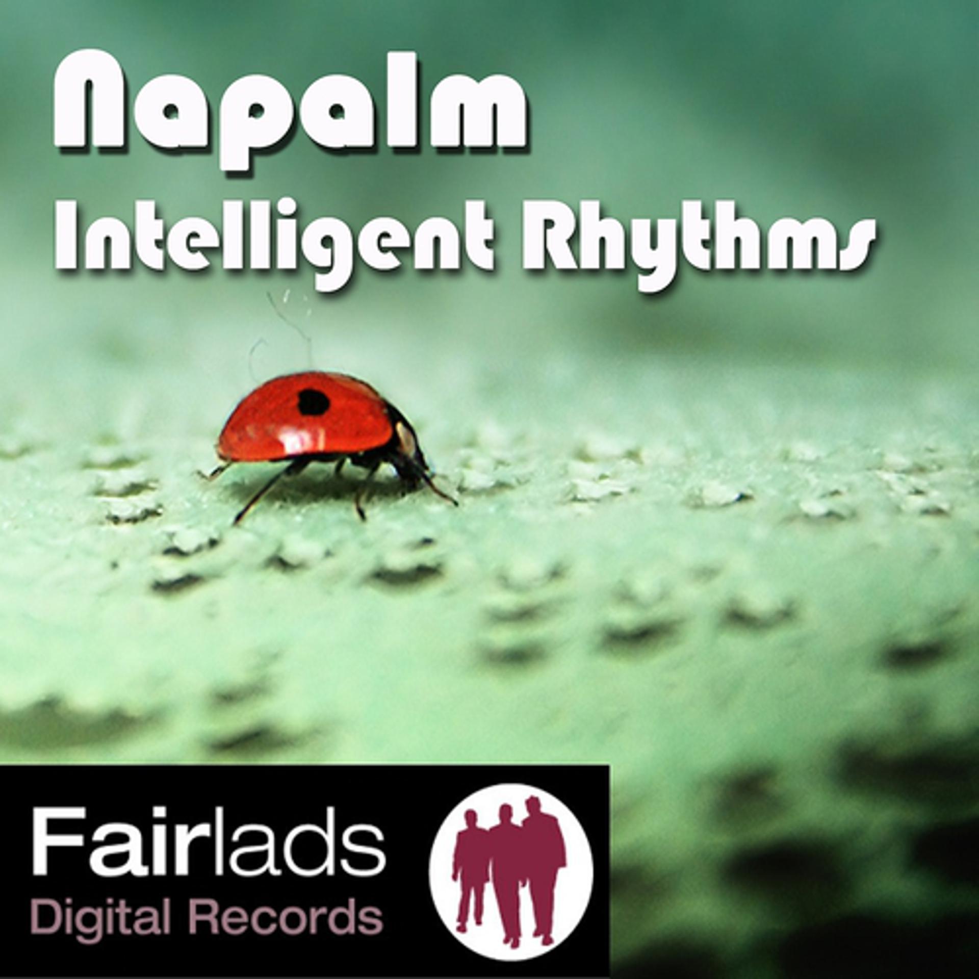 Постер альбома Intelligent Rhythms