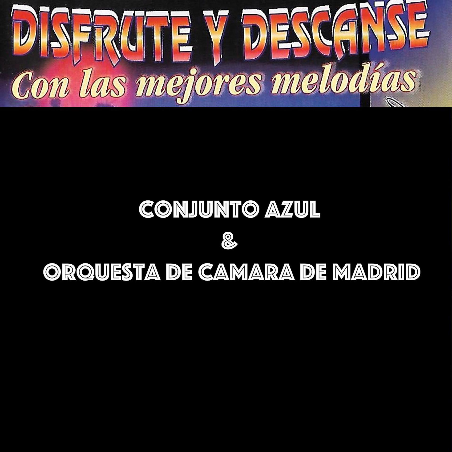 Постер альбома Disfrute y Descanse Con las Mejores Melodías