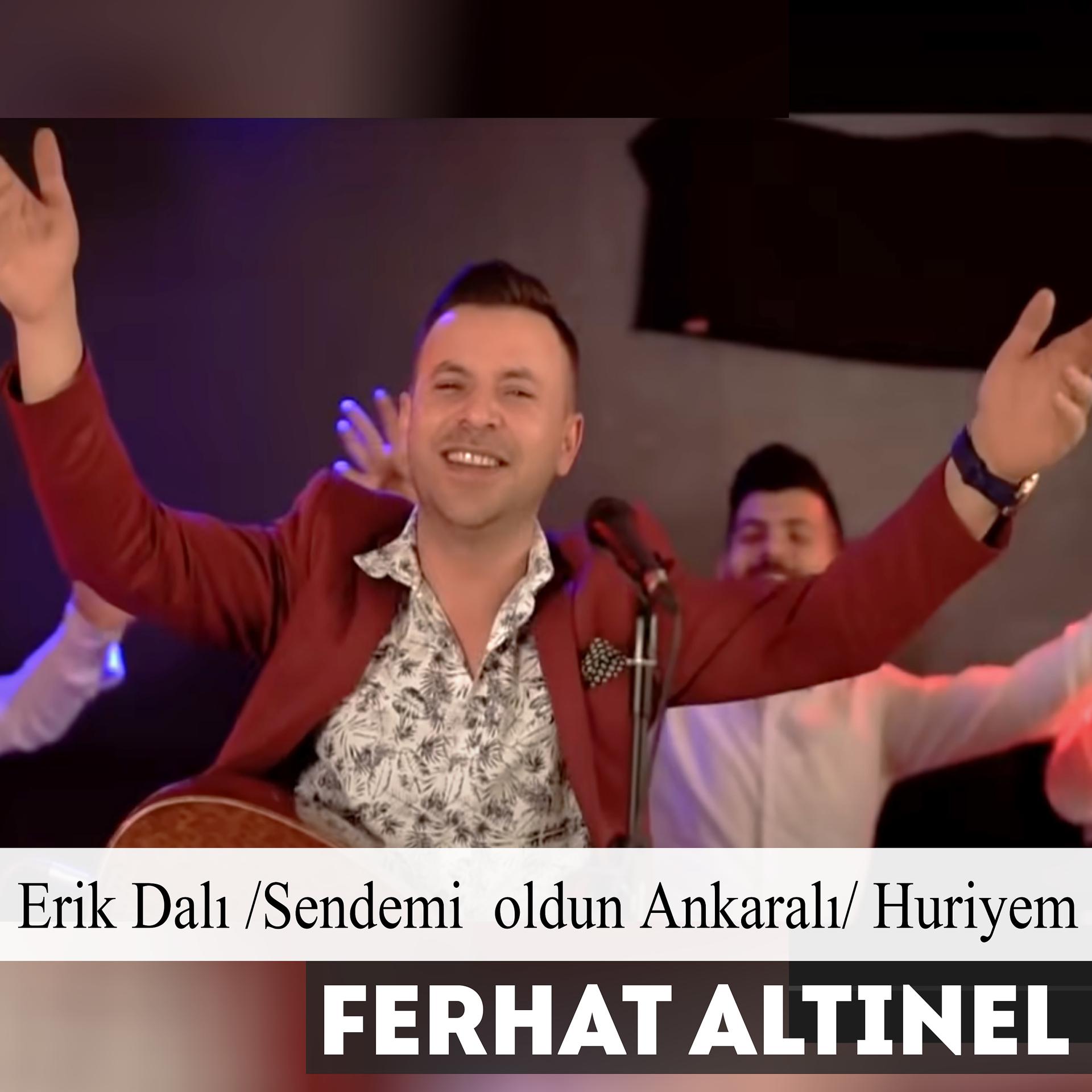 Постер альбома Erik Dalı /Sendemi  Oldun Ankaralı/Huriyem