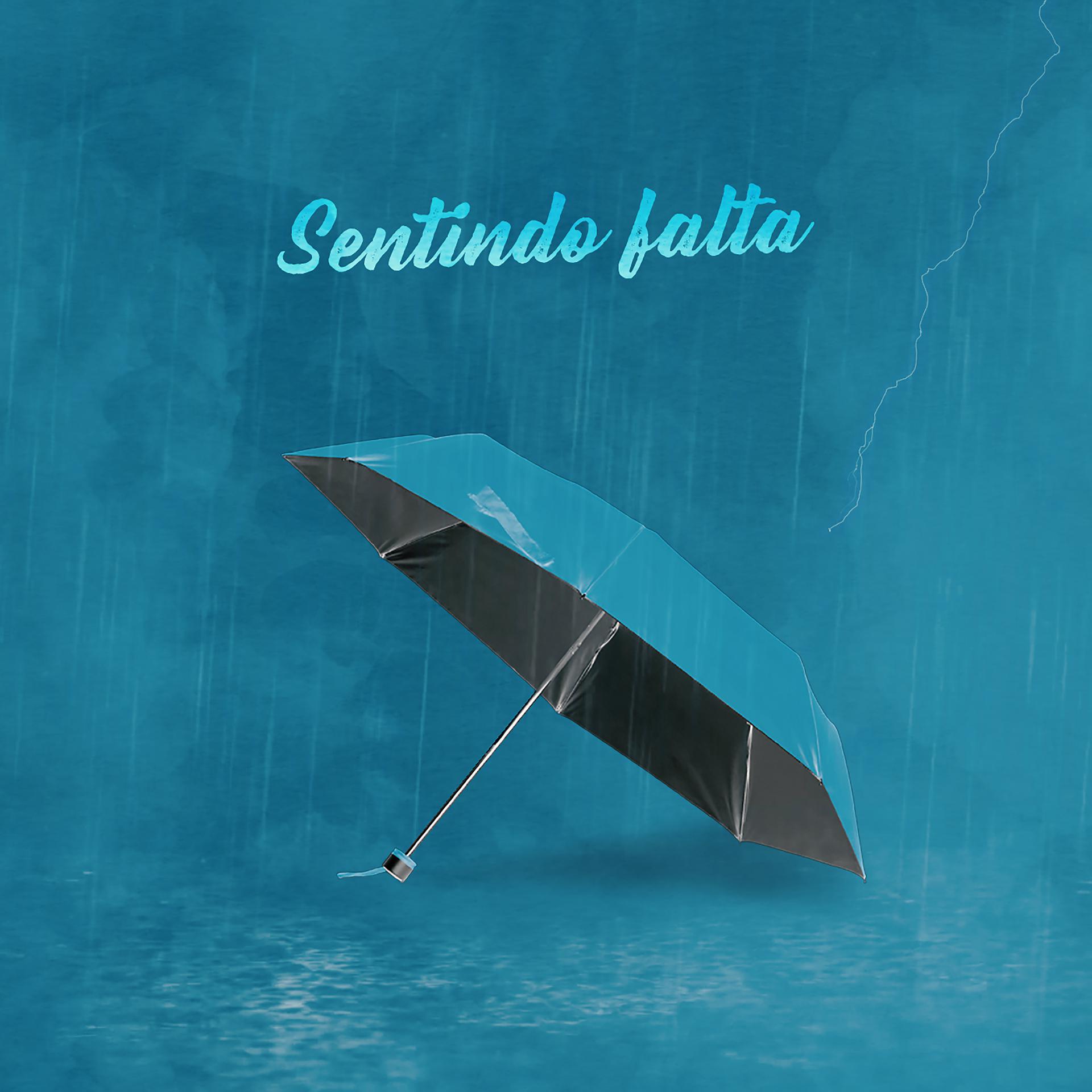 Постер альбома Sentindo Falta