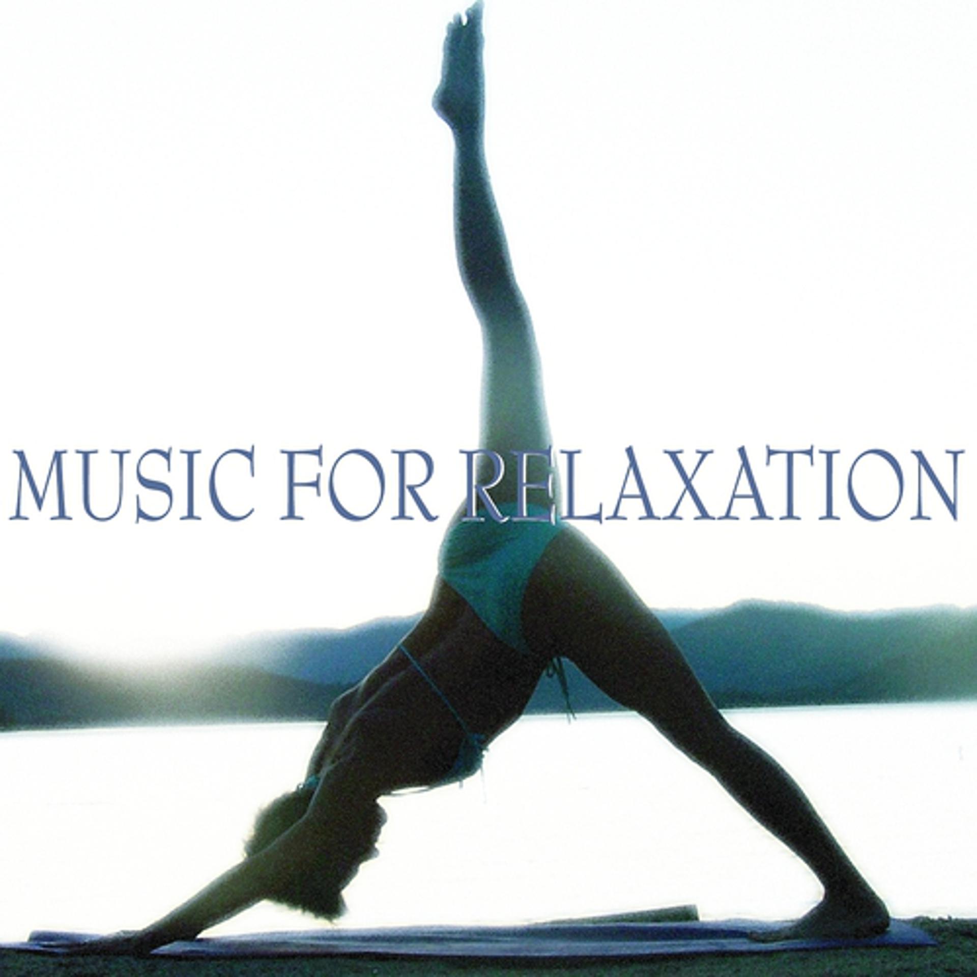 Постер альбома Music for relaxation