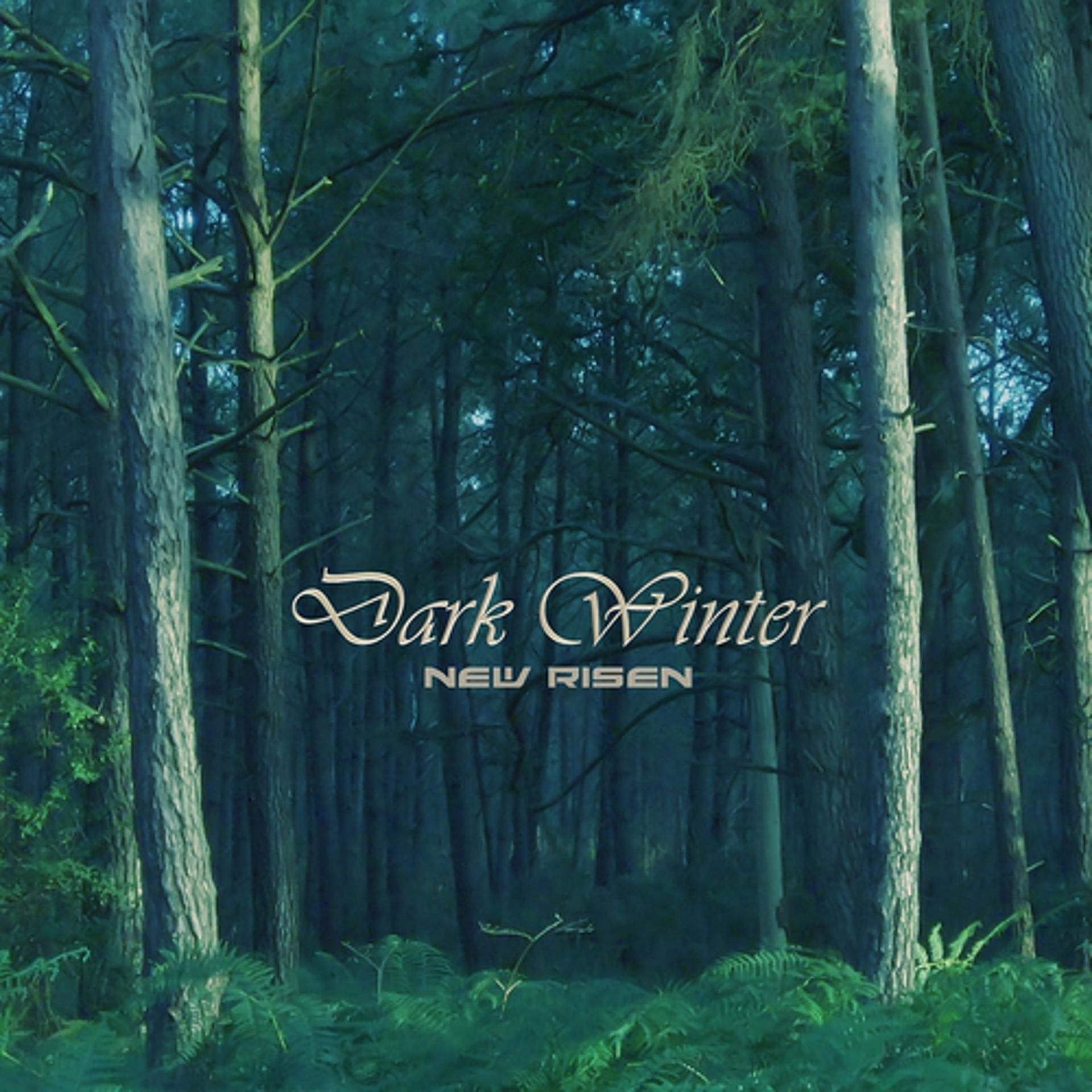 Постер альбома Dark Winter