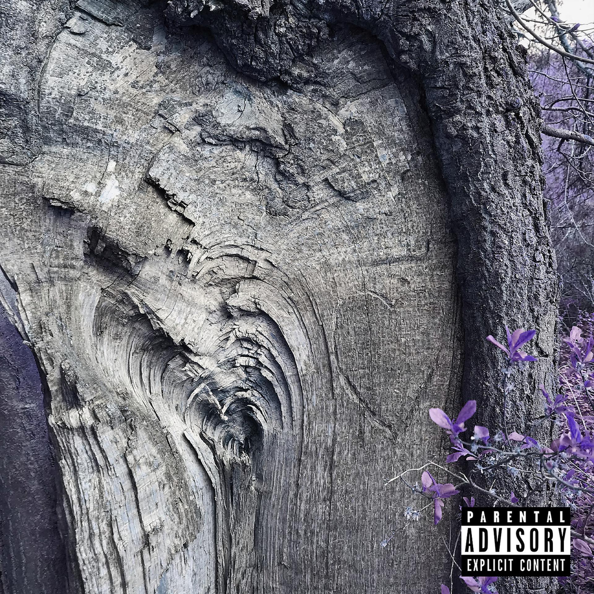 Постер альбома Tree Carvings