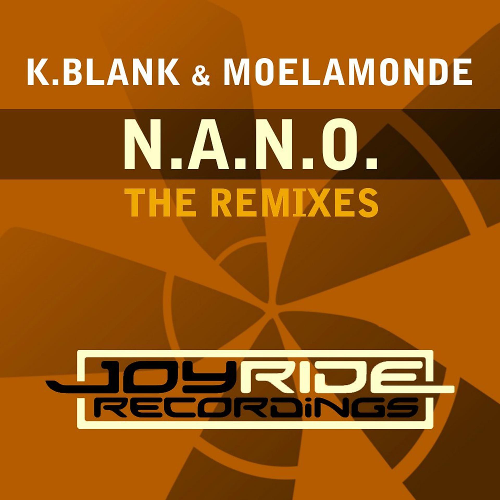 Постер альбома N.A.N.O. (The Remixes)
