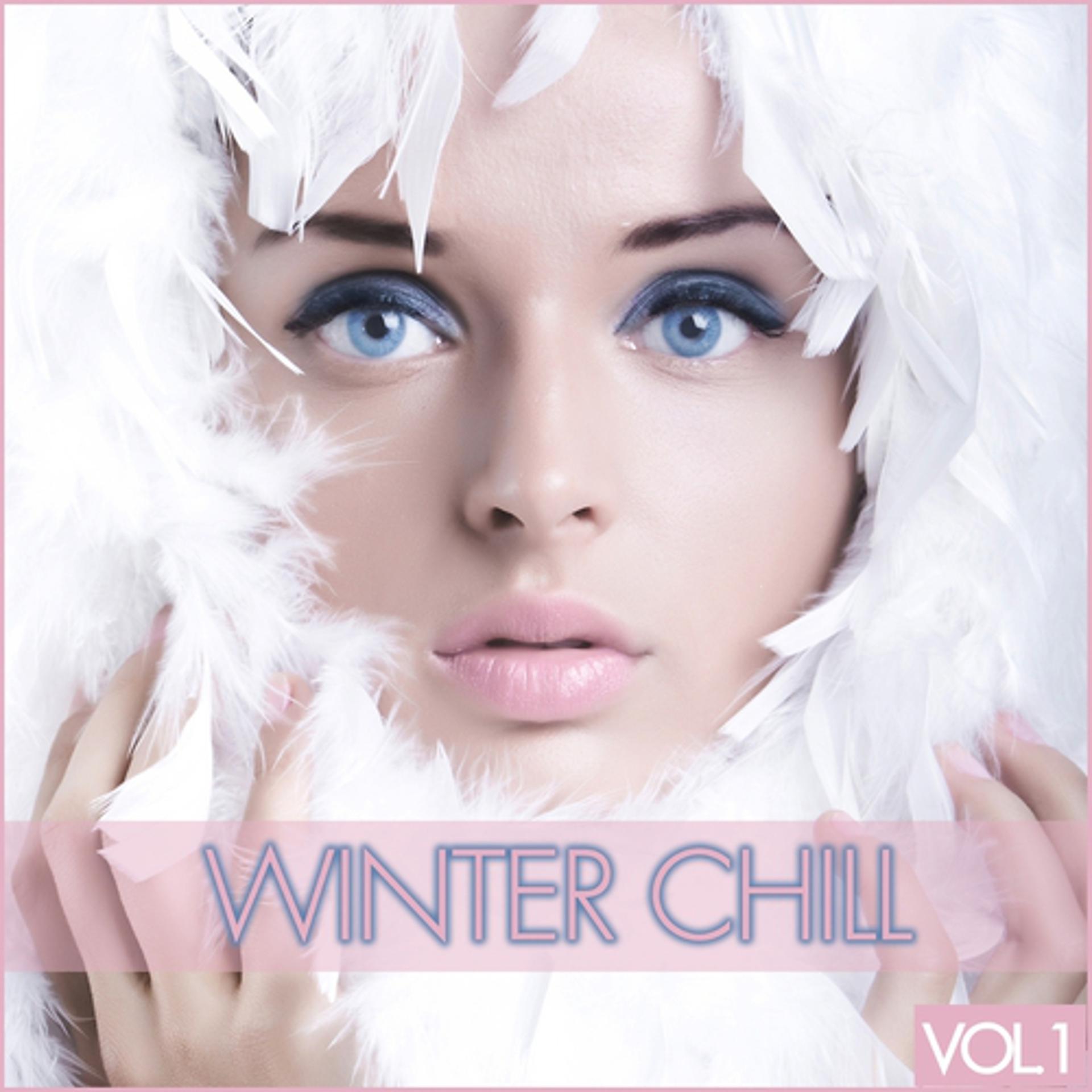 Постер альбома Winter Chill,  Vol. 1