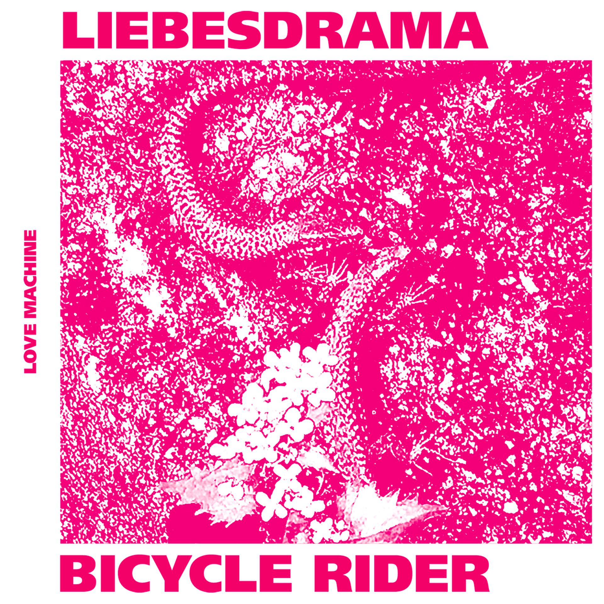 Постер альбома Liebesdrama