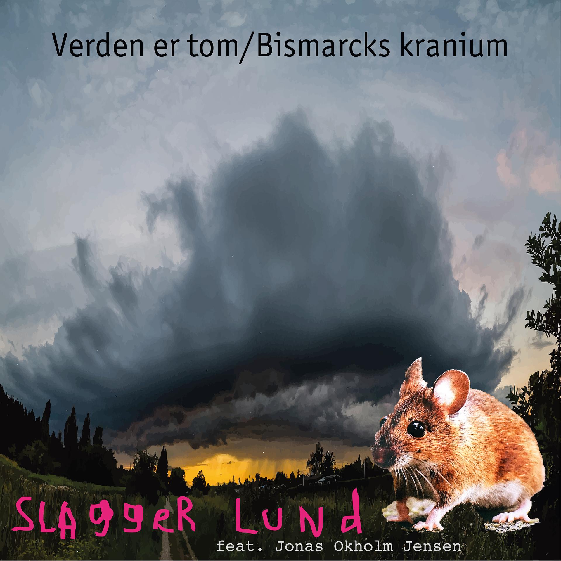 Постер альбома Verden er tom/Bismarcks kranium