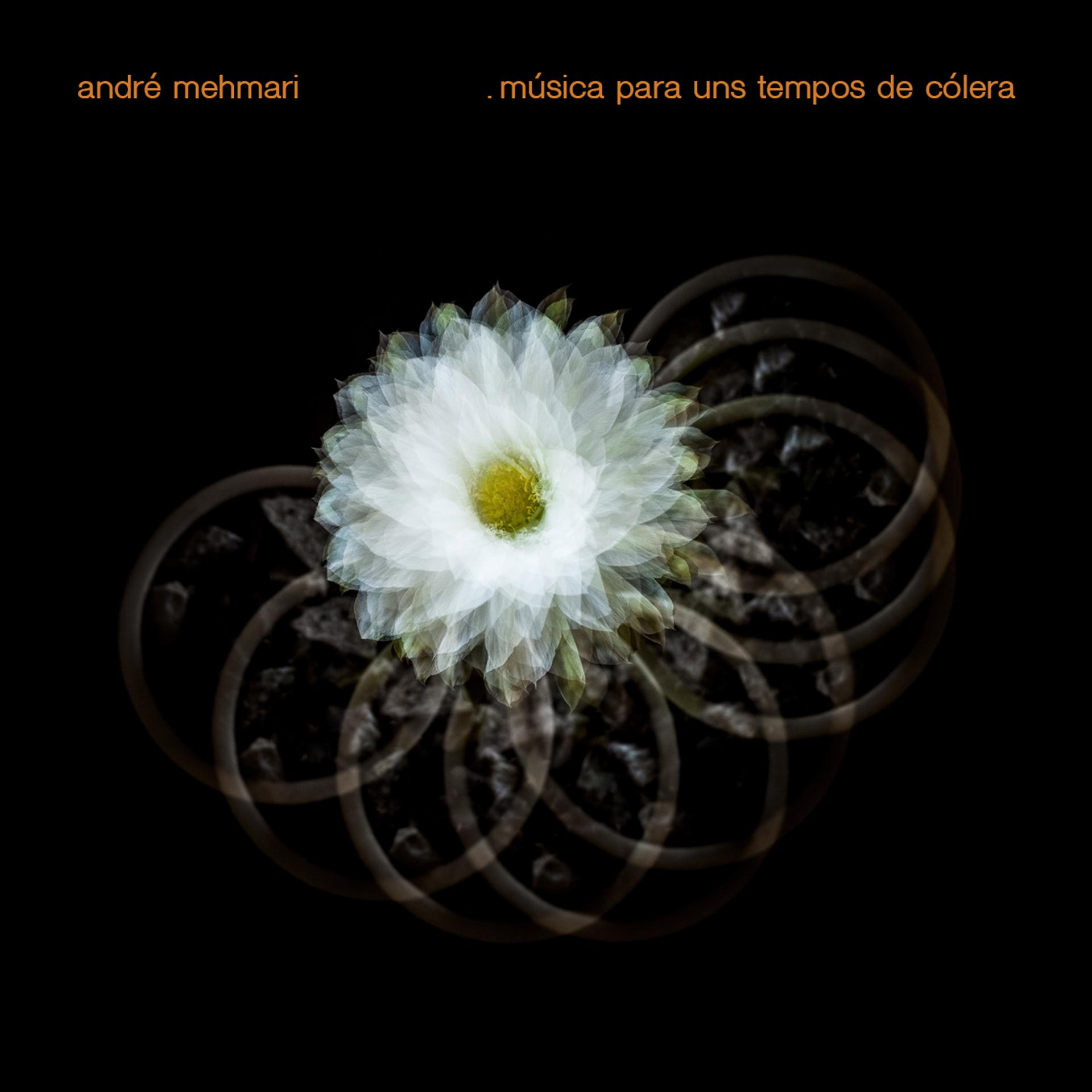 Постер альбома Música para Uns Tempos de Cólera (Instrumental)