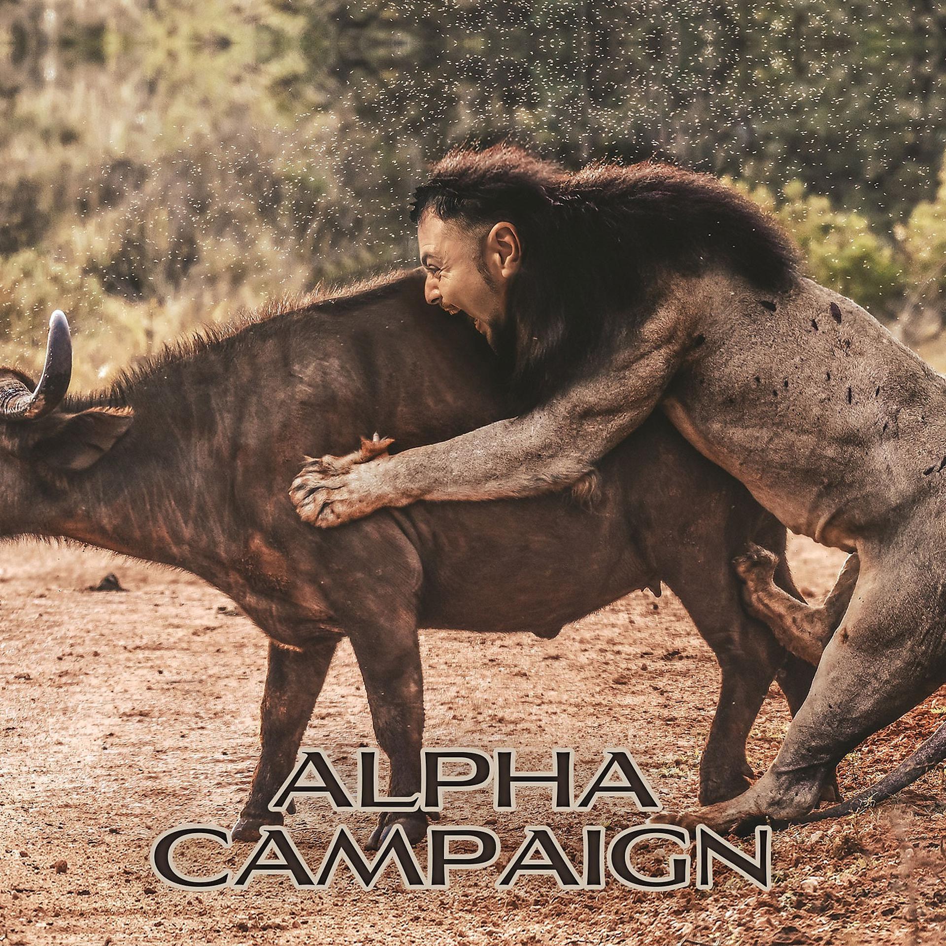 Постер альбома Alpha Campaign