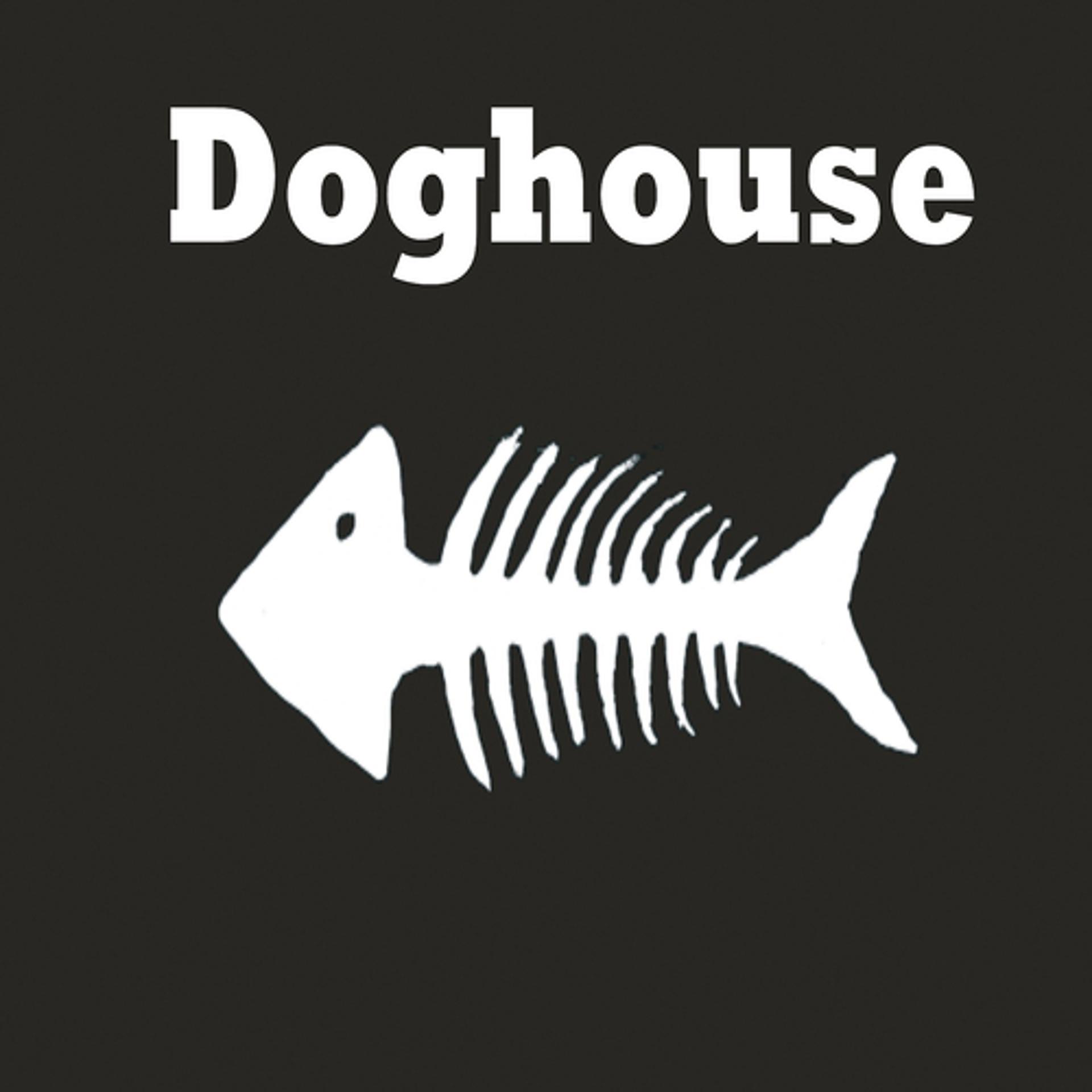 Постер альбома Doghouse