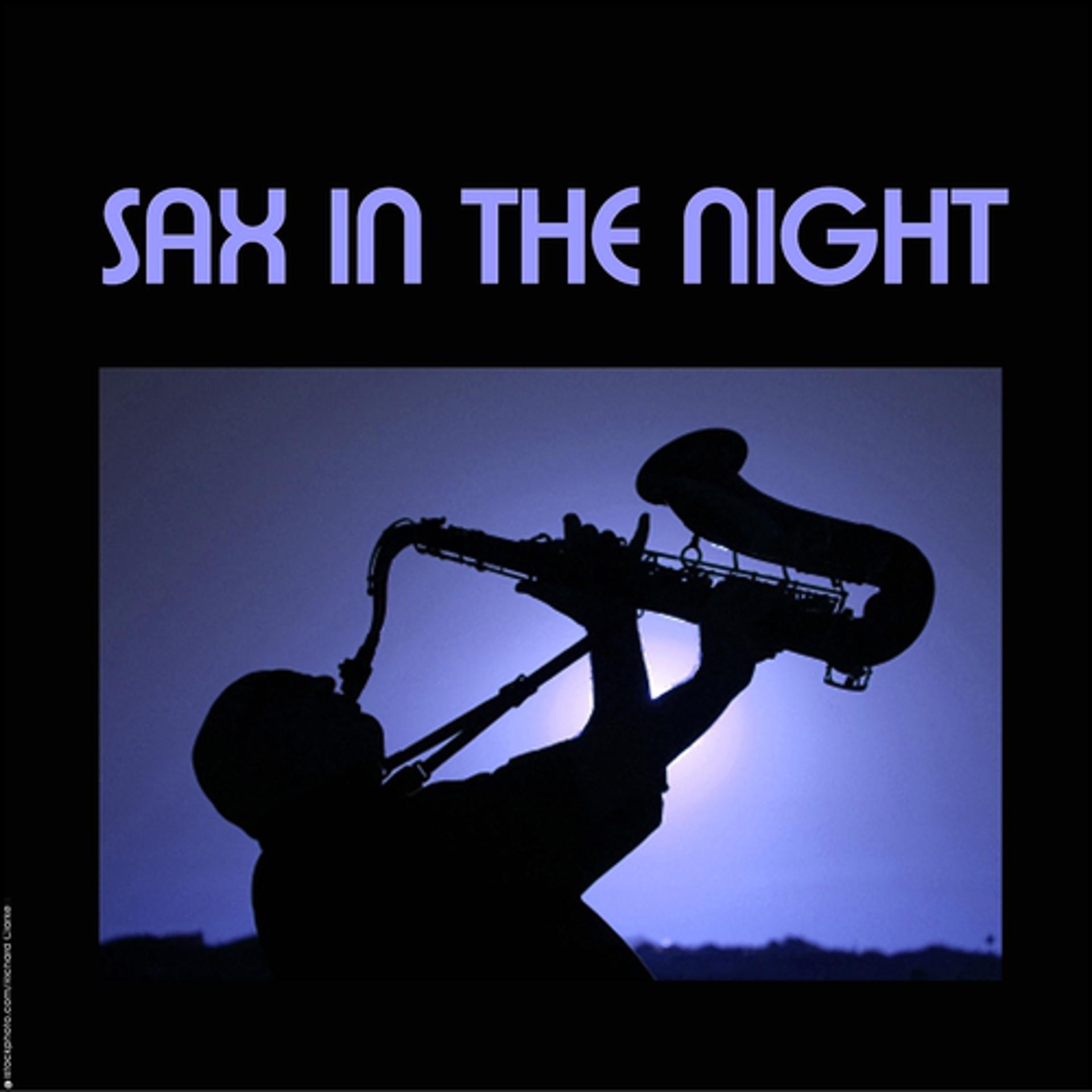 Постер альбома Sax in the night