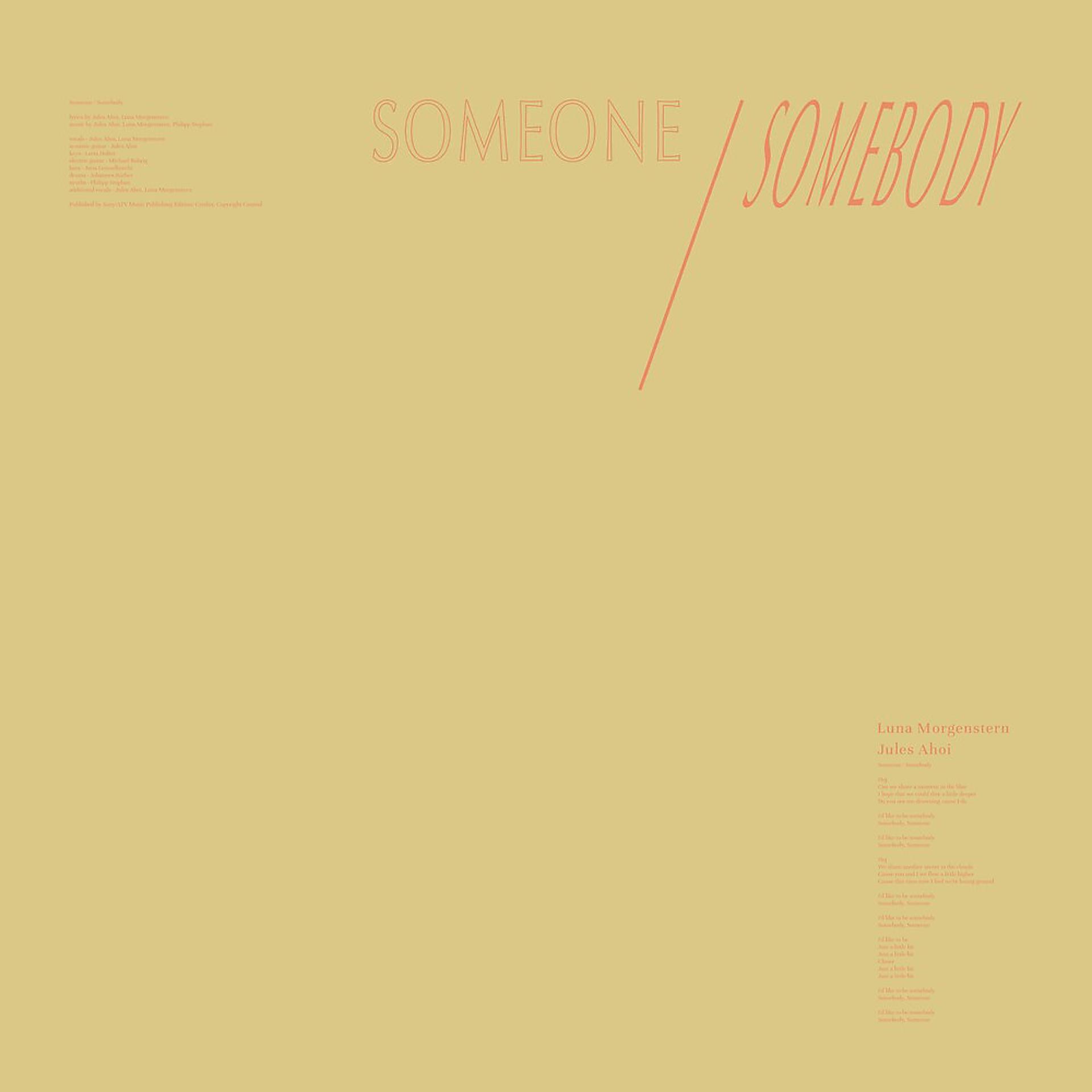 Постер альбома Someone / Somebody