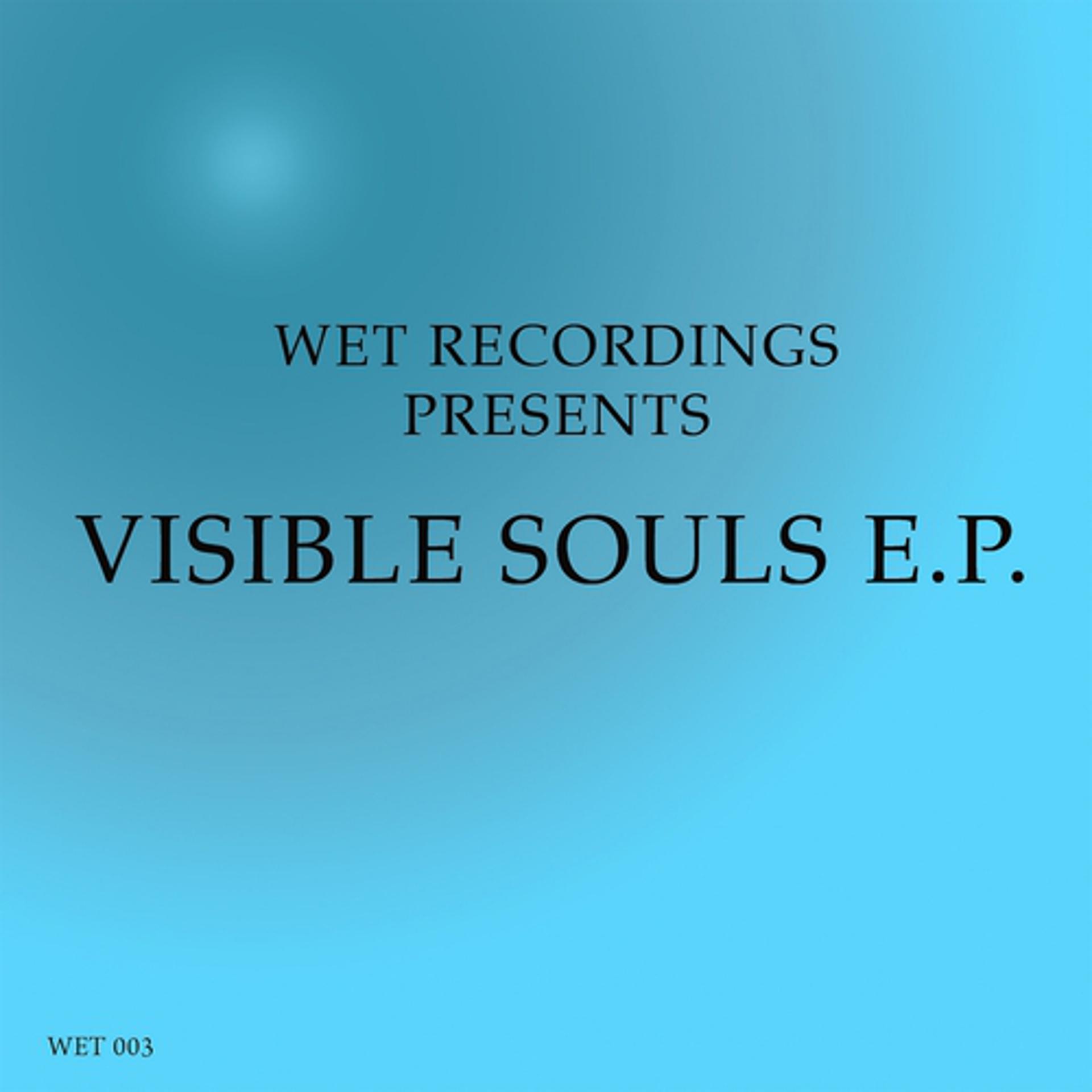 Постер альбома Visible Souls EP