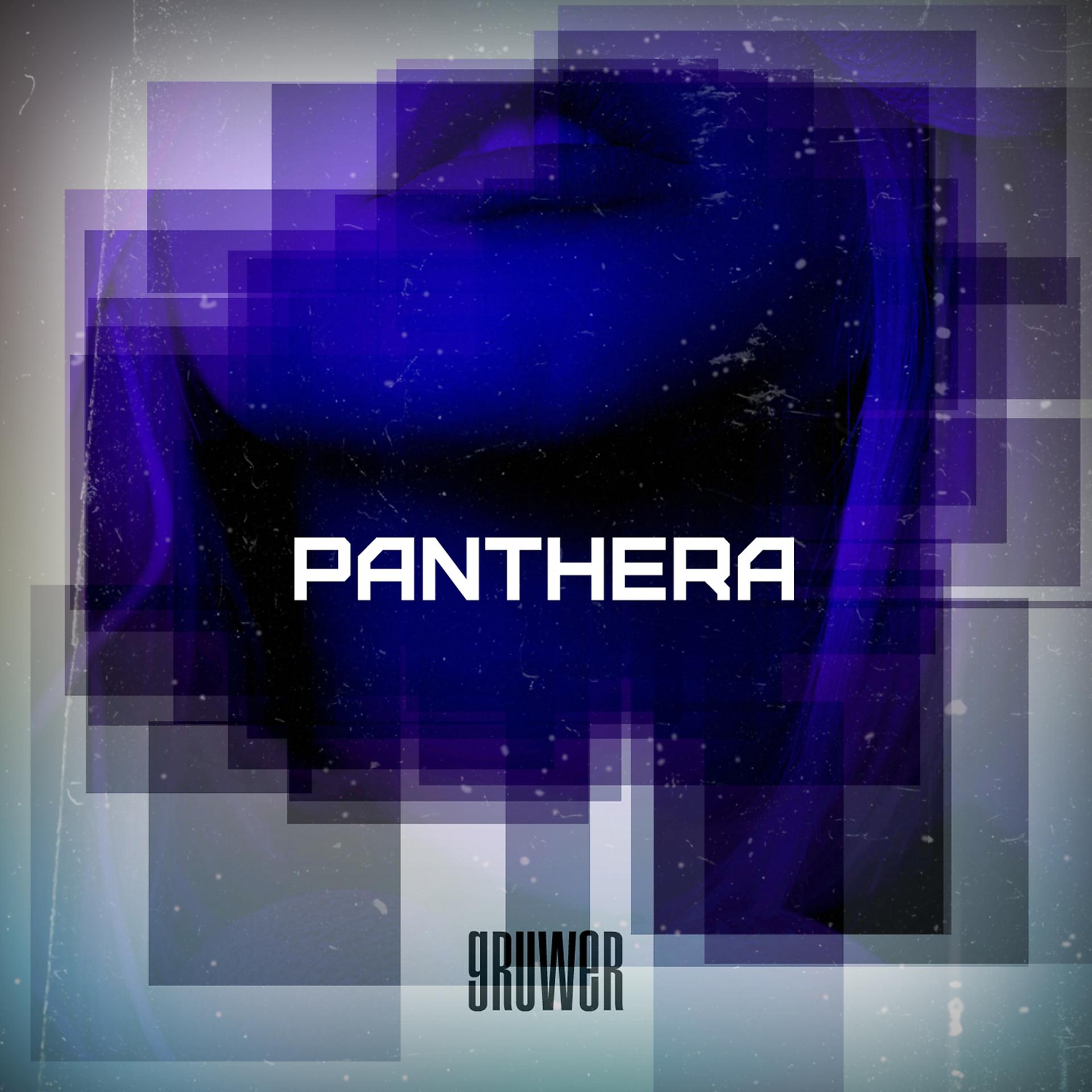 Постер альбома Panthera