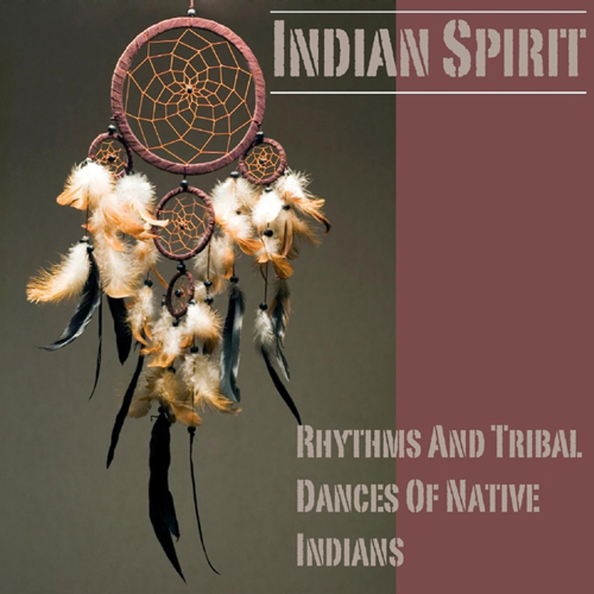 Постер альбома Rhythms And Tribal Dances Of Native Indians