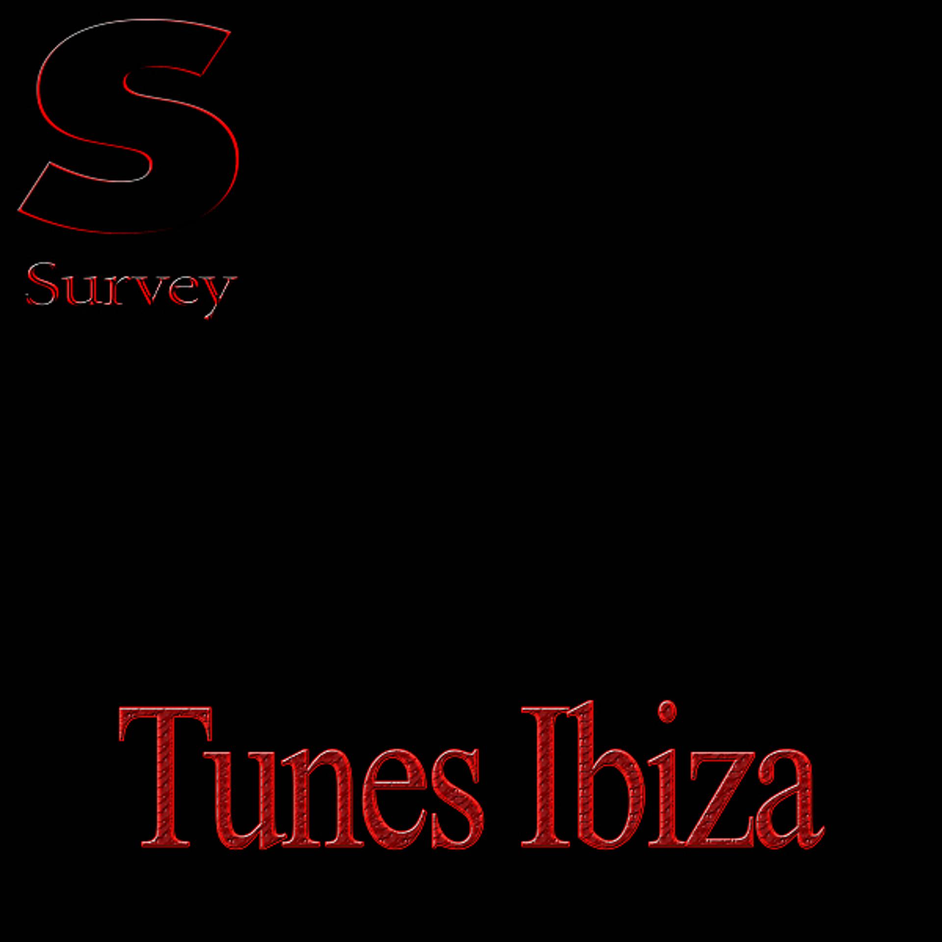 Постер альбома Tunes Ibiza