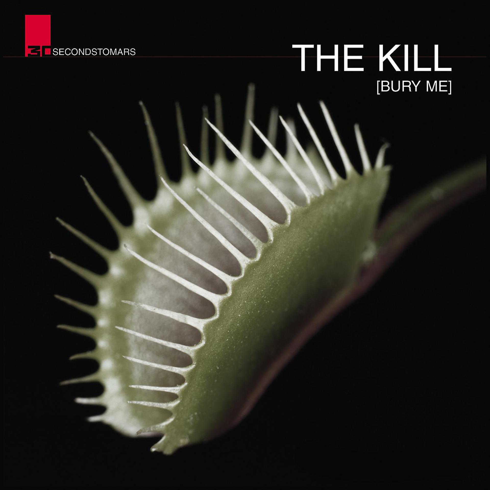 Постер альбома The Kill
