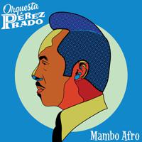 Постер альбома Mambo Afro