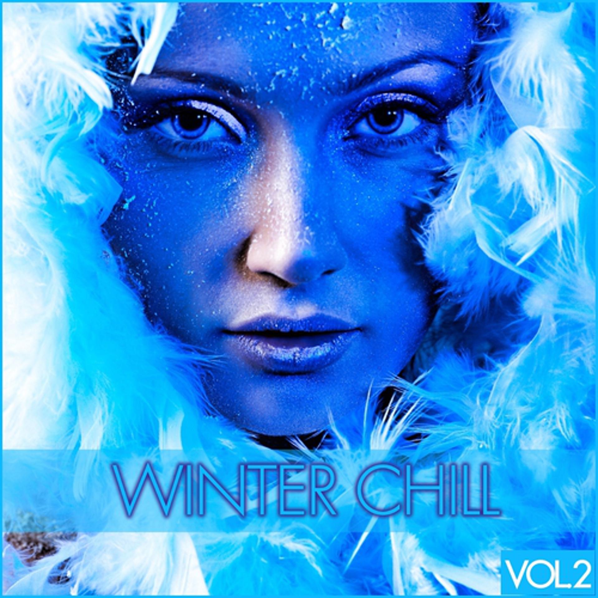 Постер альбома Winter Chill, Vol. 2