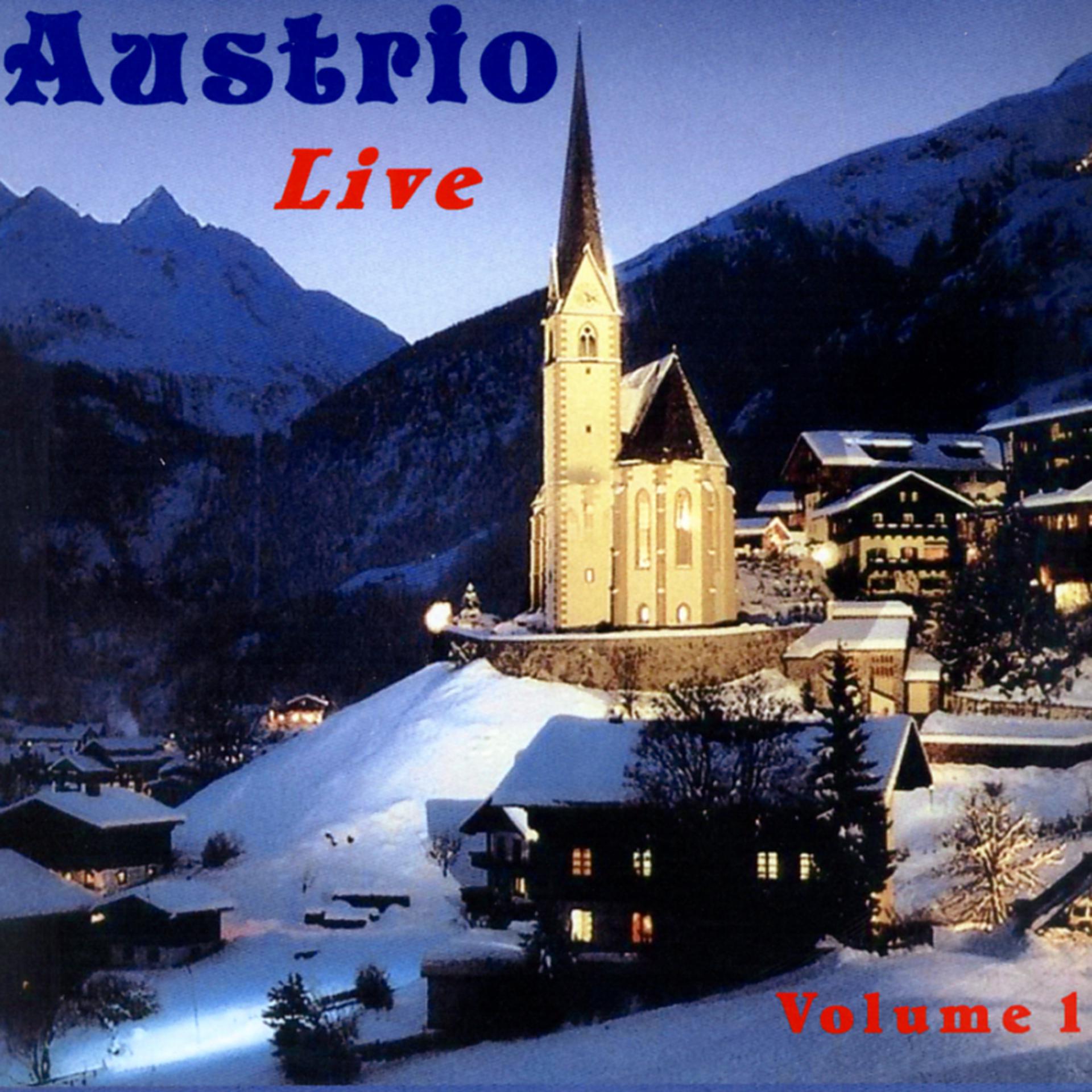 Постер альбома German Hits by Austrio Live  Volume 1