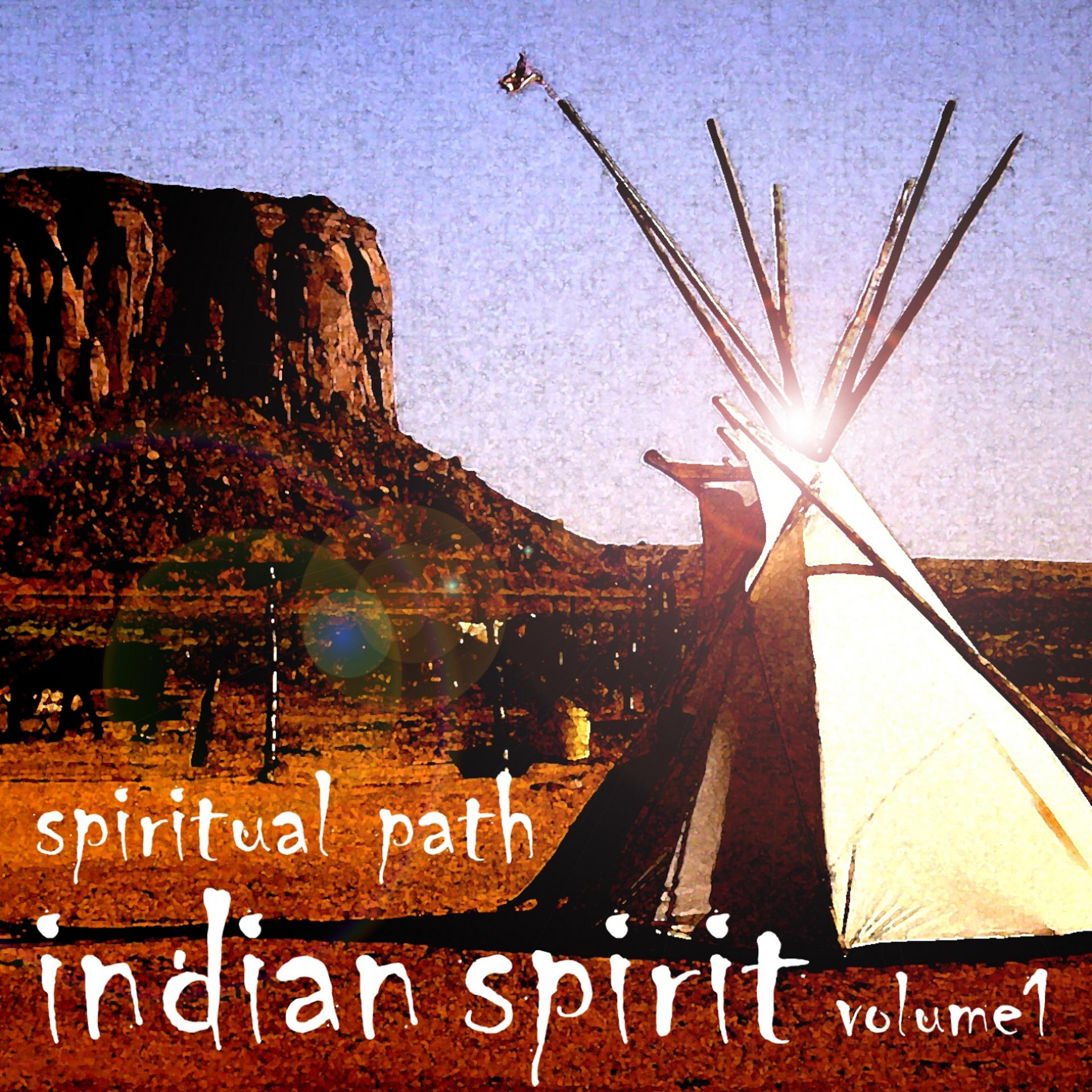 Постер альбома Indian Spirits And More, Volume 1