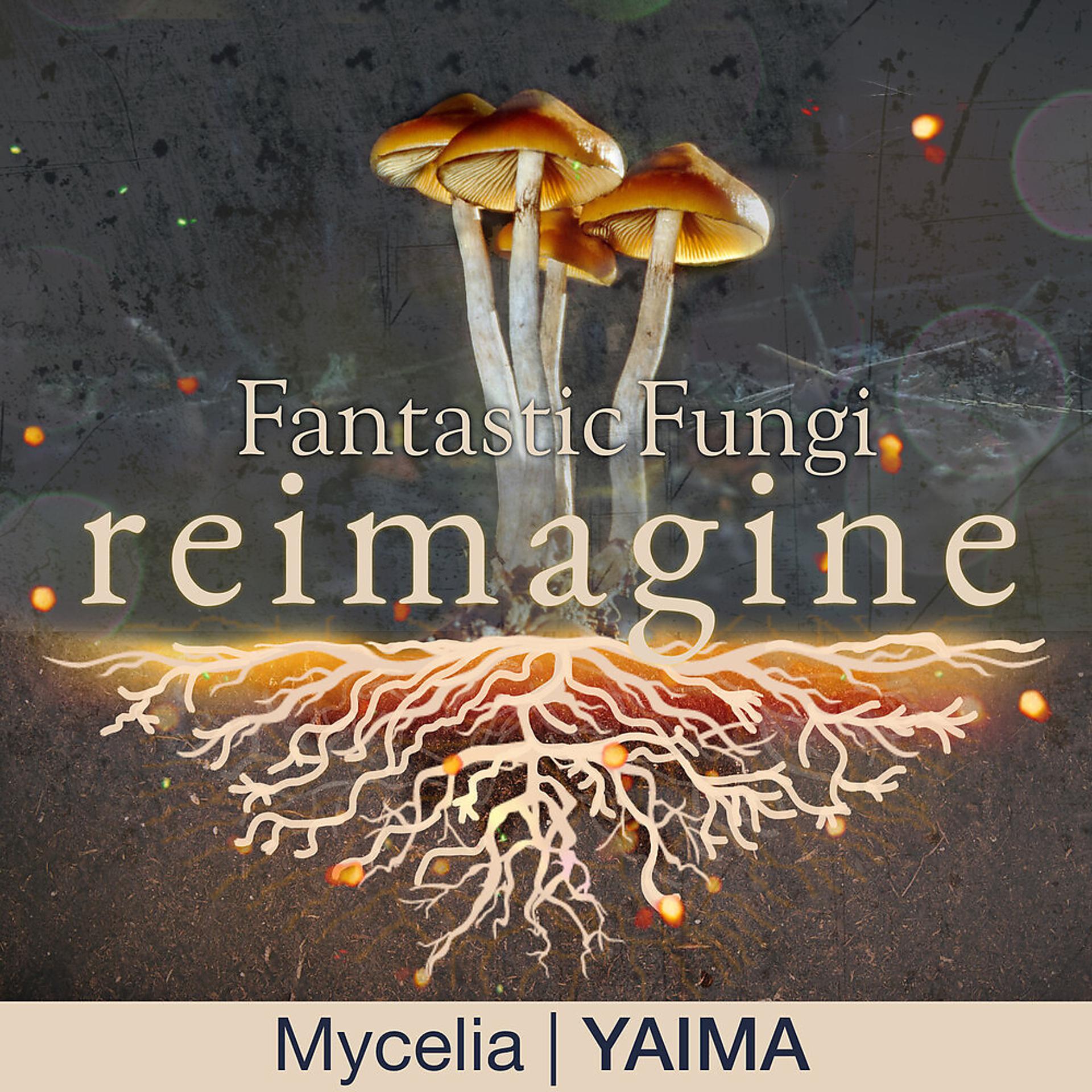 Постер альбома Mycelia