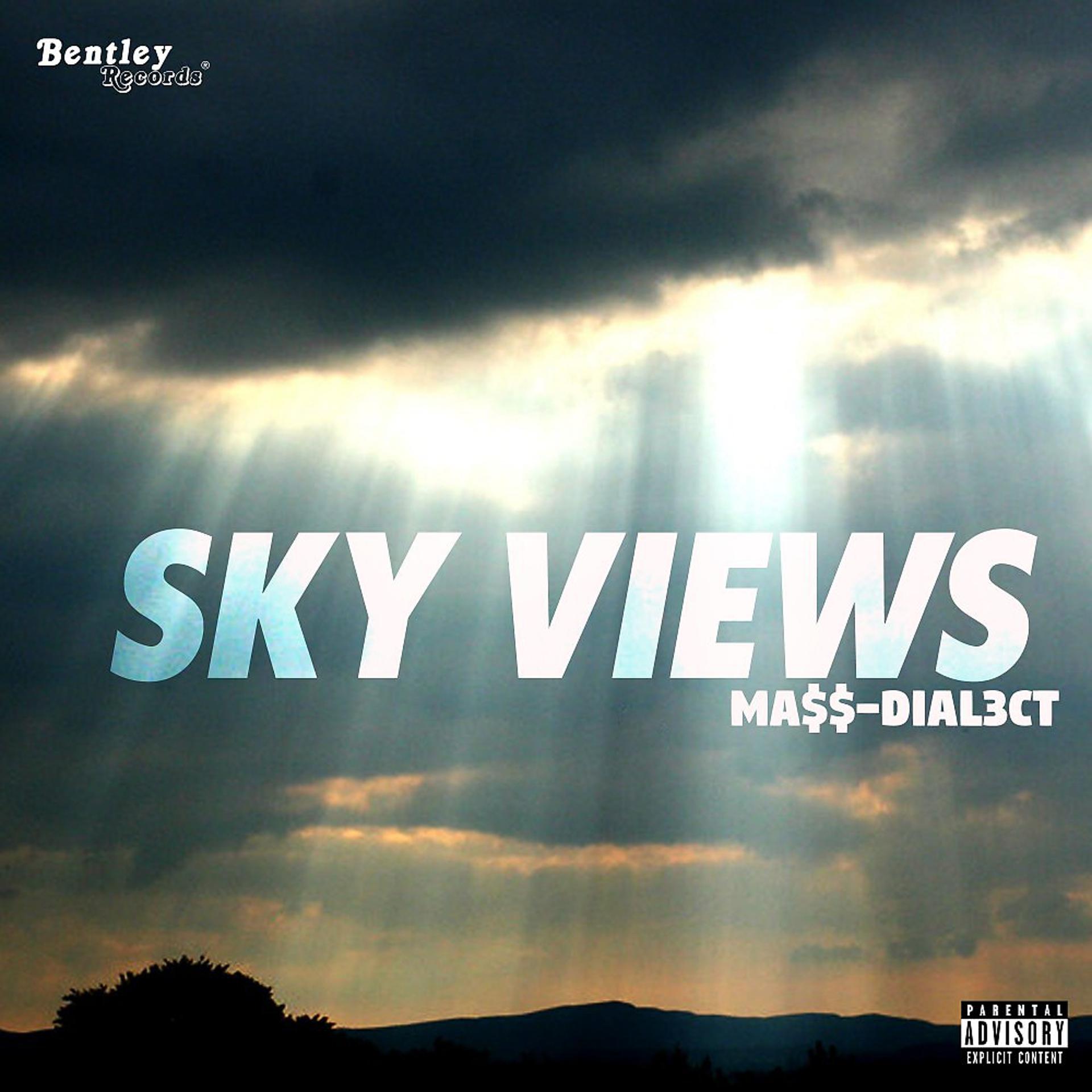 Постер альбома Sky Views