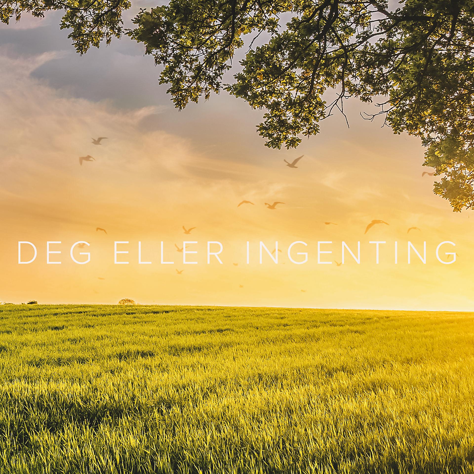 Постер альбома Deg Eller Ingenting