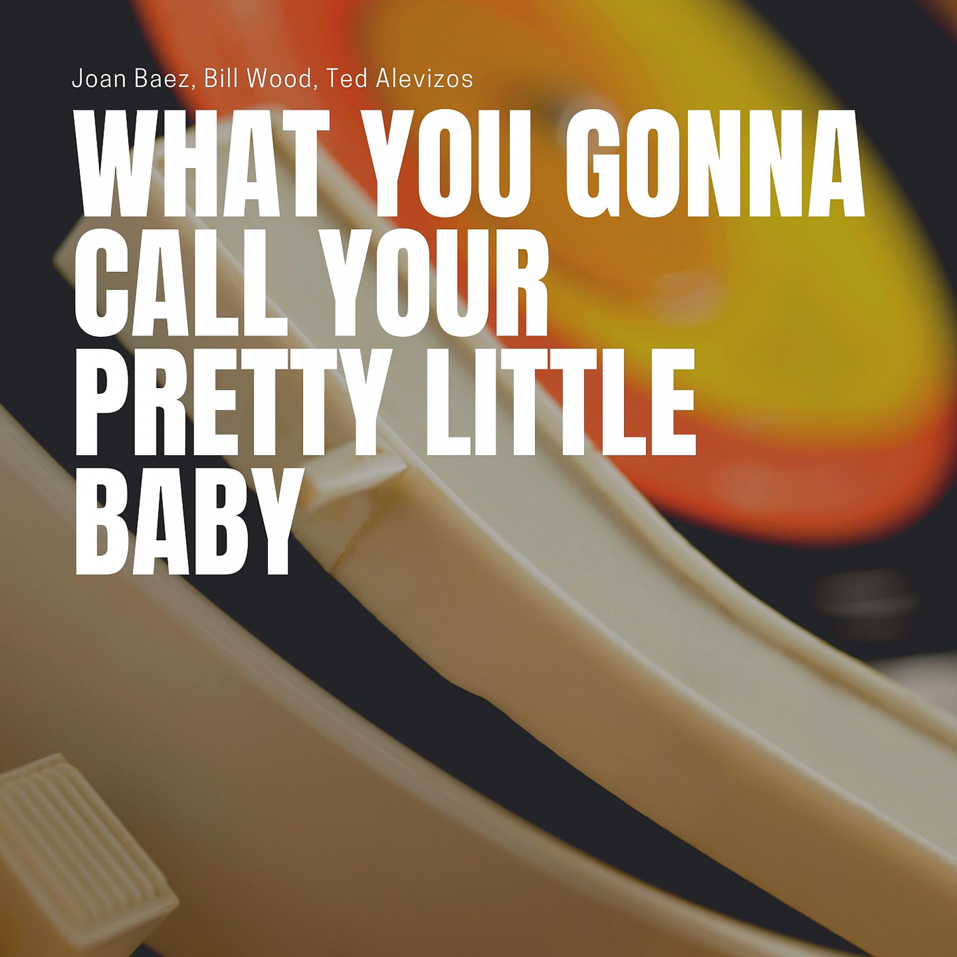 Постер альбома What You Gonna Call Your Pretty Little Baby