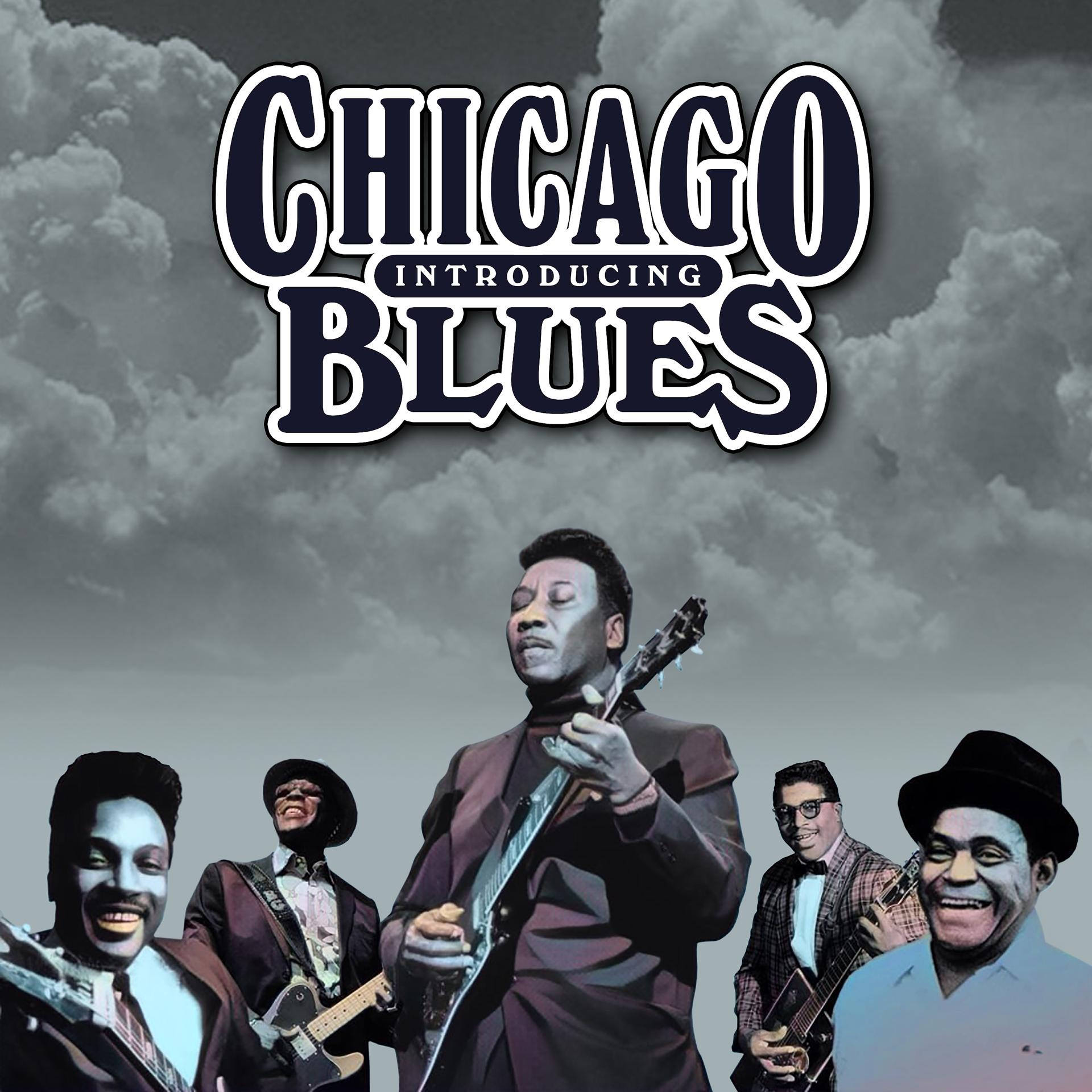 Постер альбома Introducing Chicago Blues