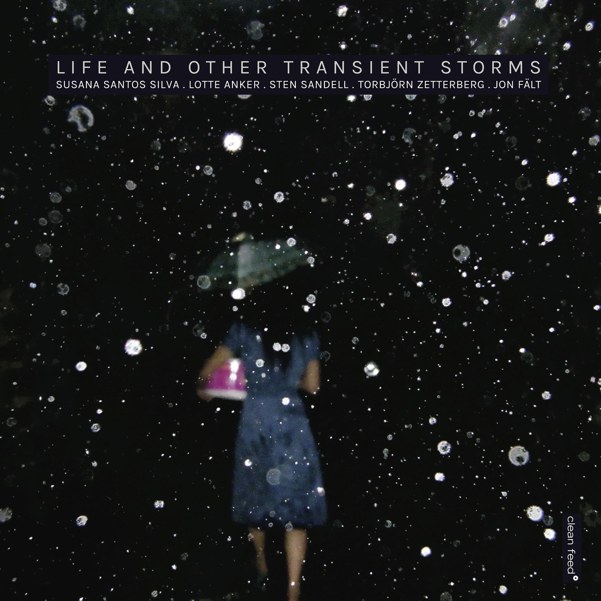 Постер альбома Life and Other Transient Storms