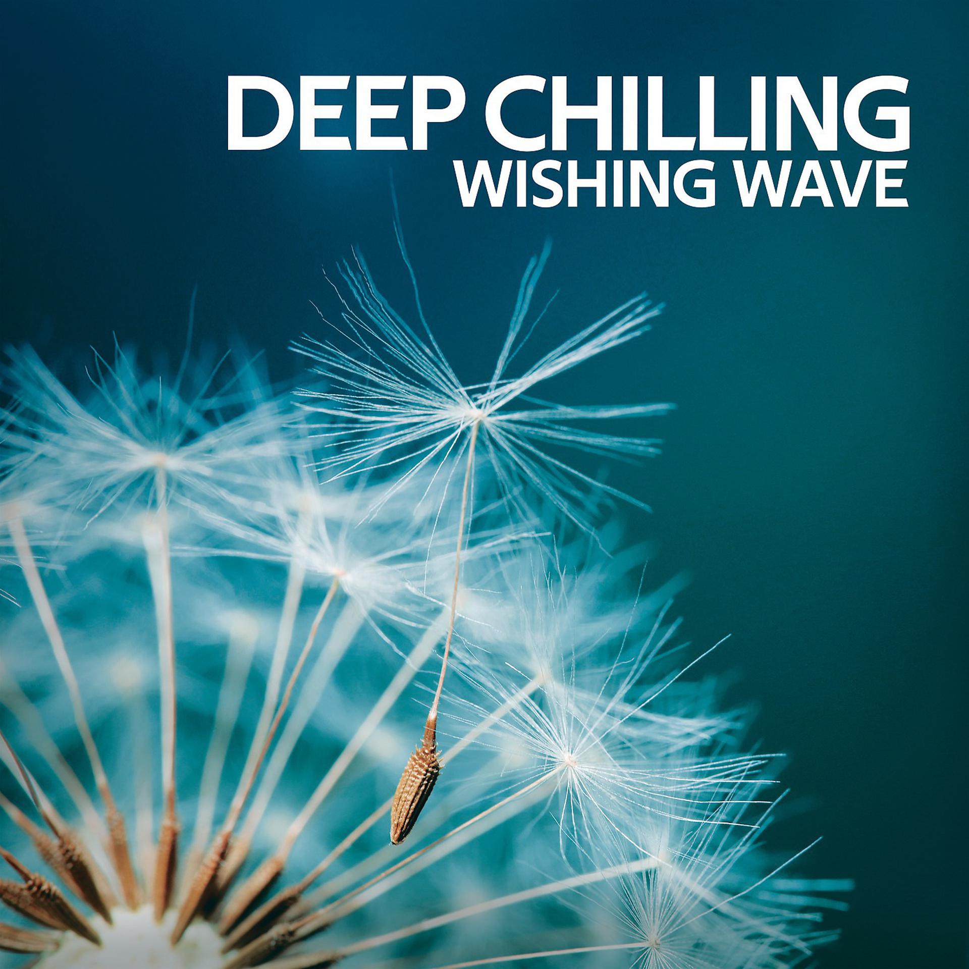 Постер альбома Deep Chilling Wishing Wave