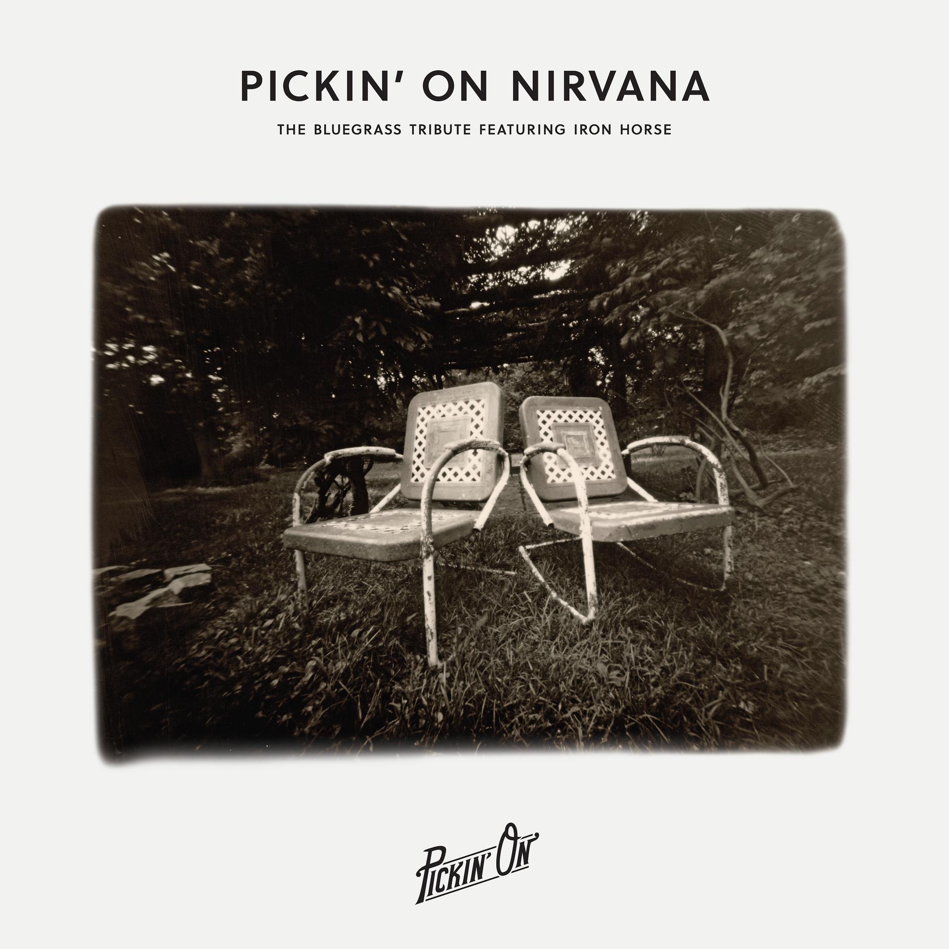 Постер альбома Pickin' On Nirvana