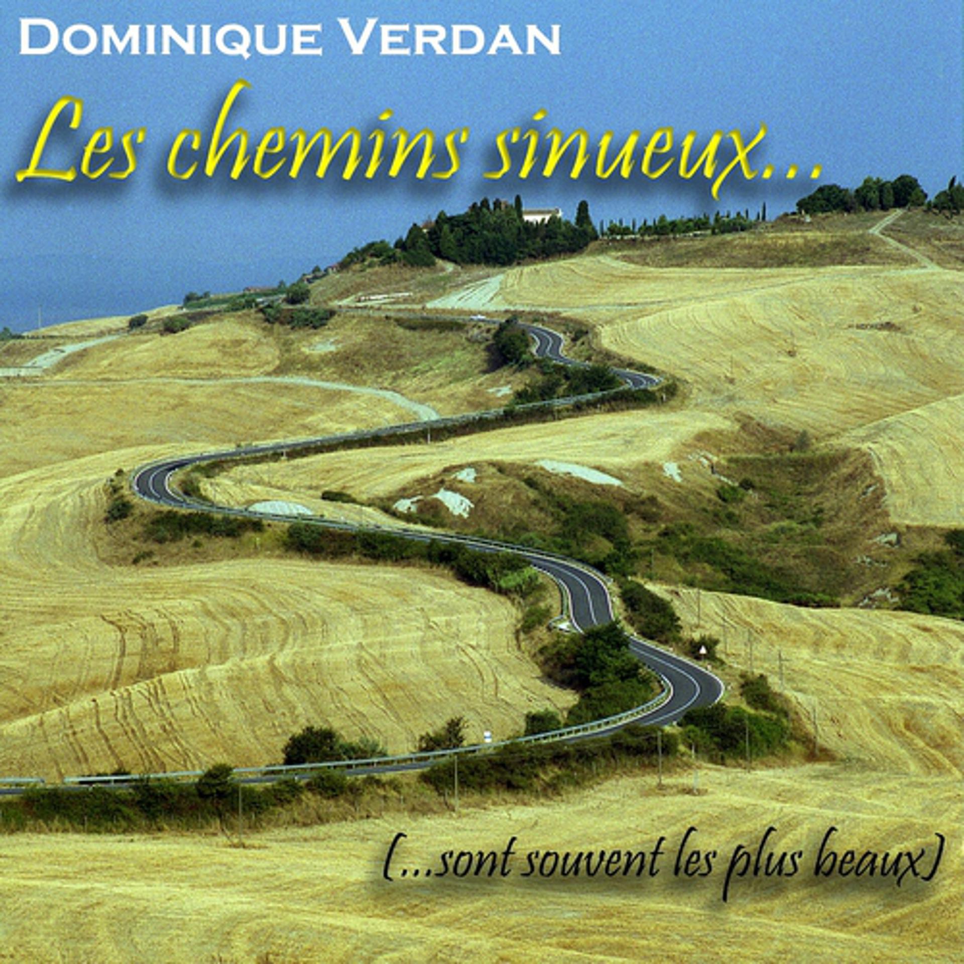 Постер альбома Les chemins sinueux...