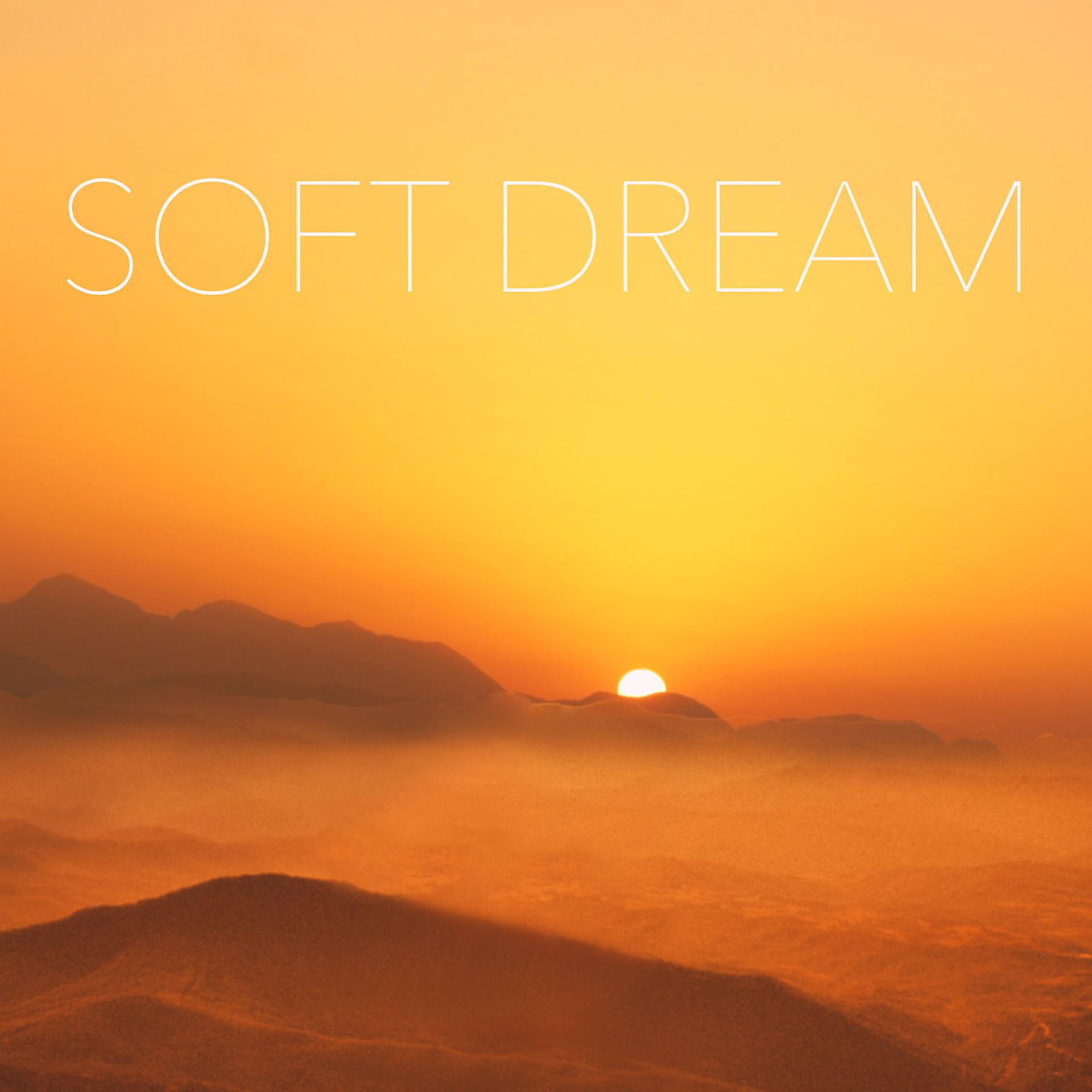 Постер альбома Soft Dream