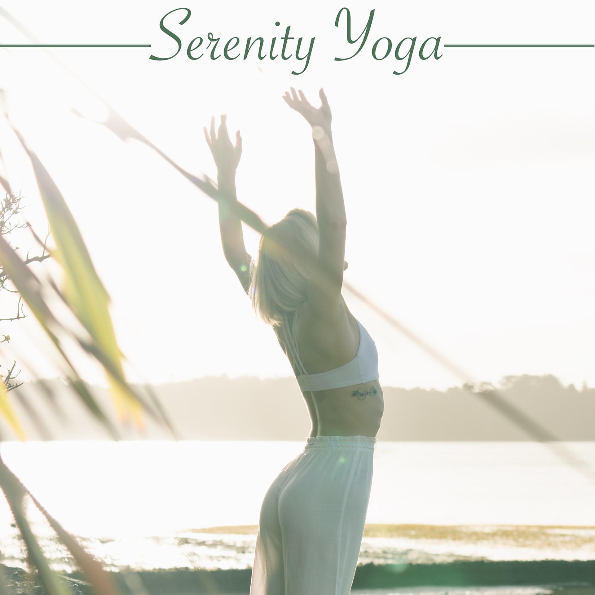 Постер альбома Serenity Yoga
