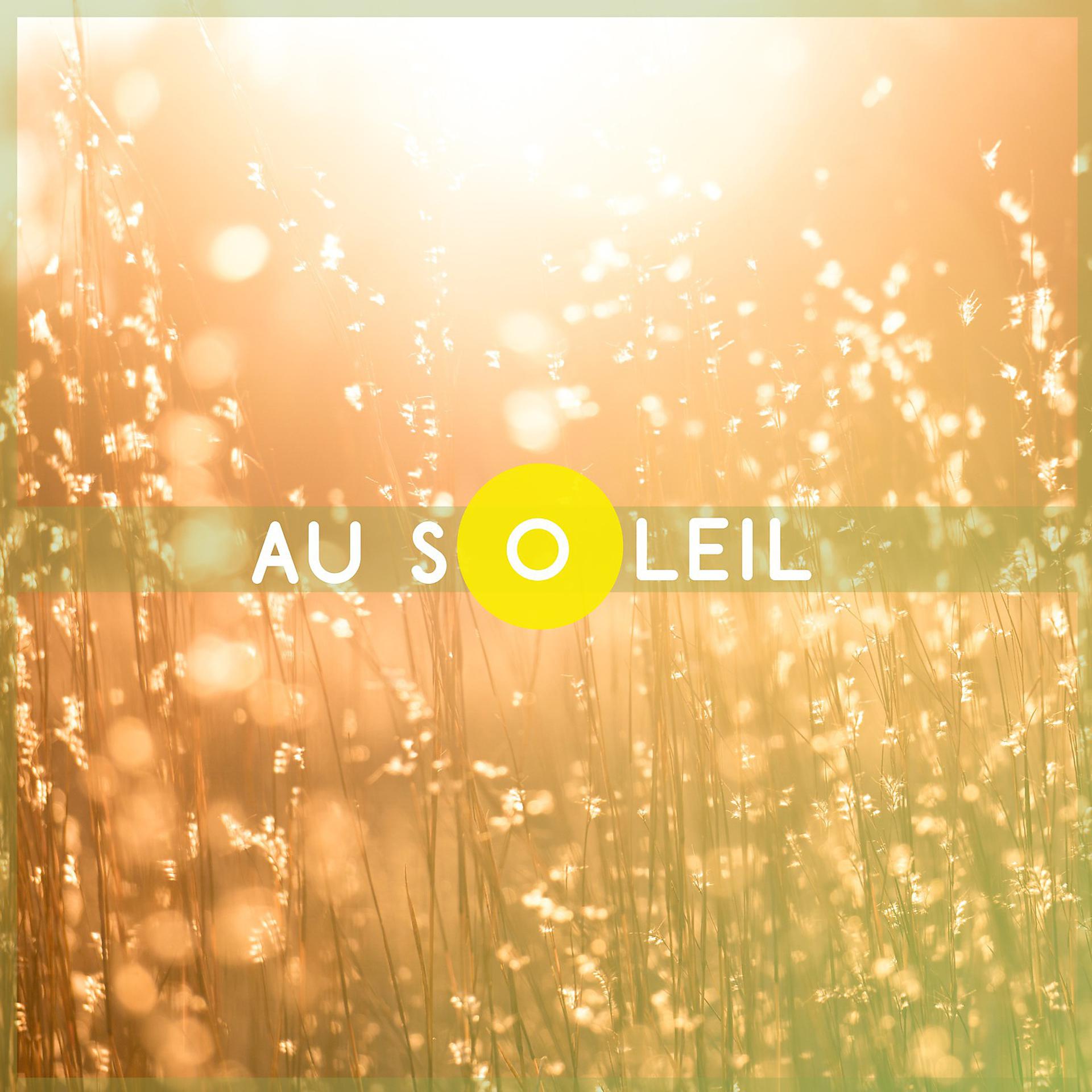 Постер альбома Au soleil