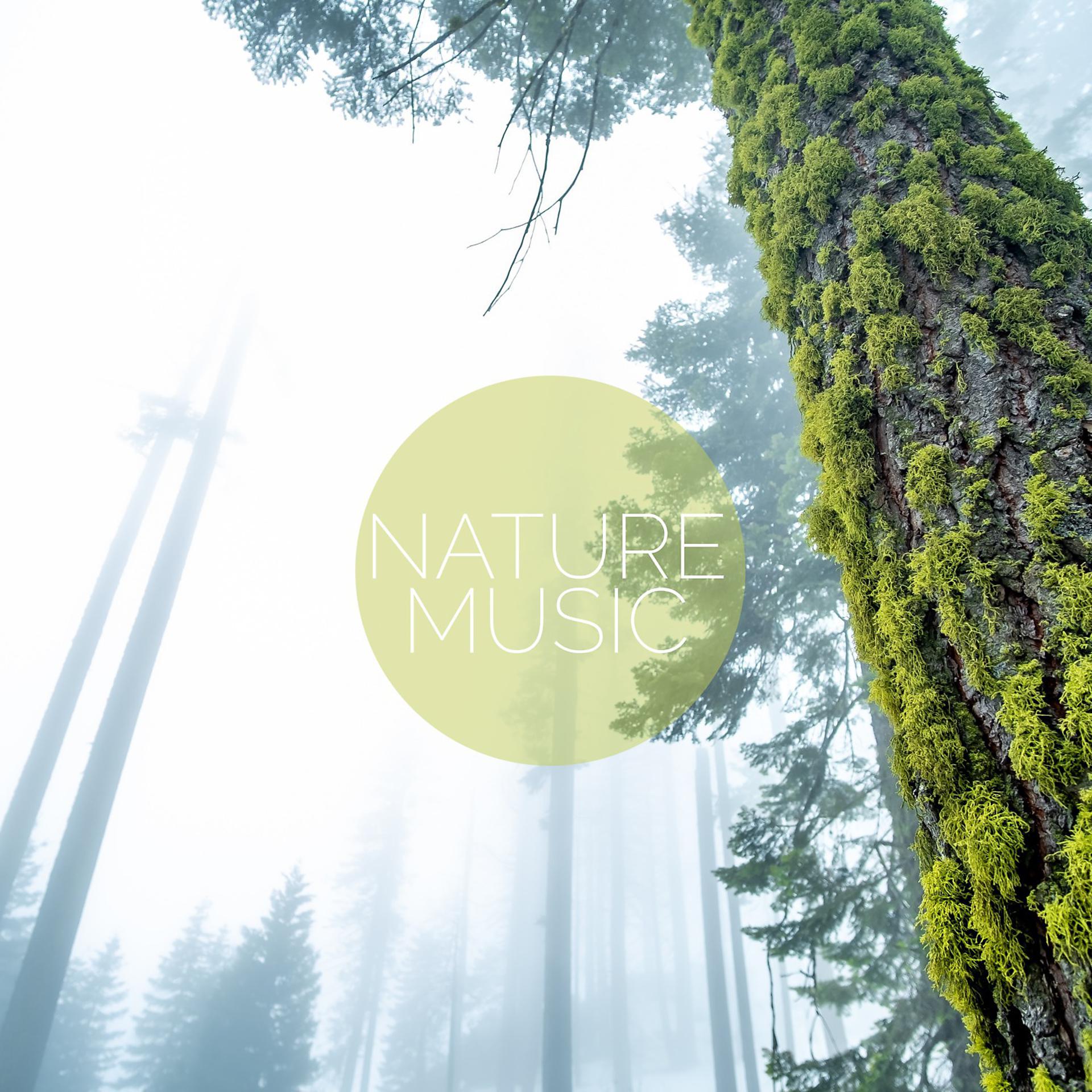 Постер альбома Nature Music