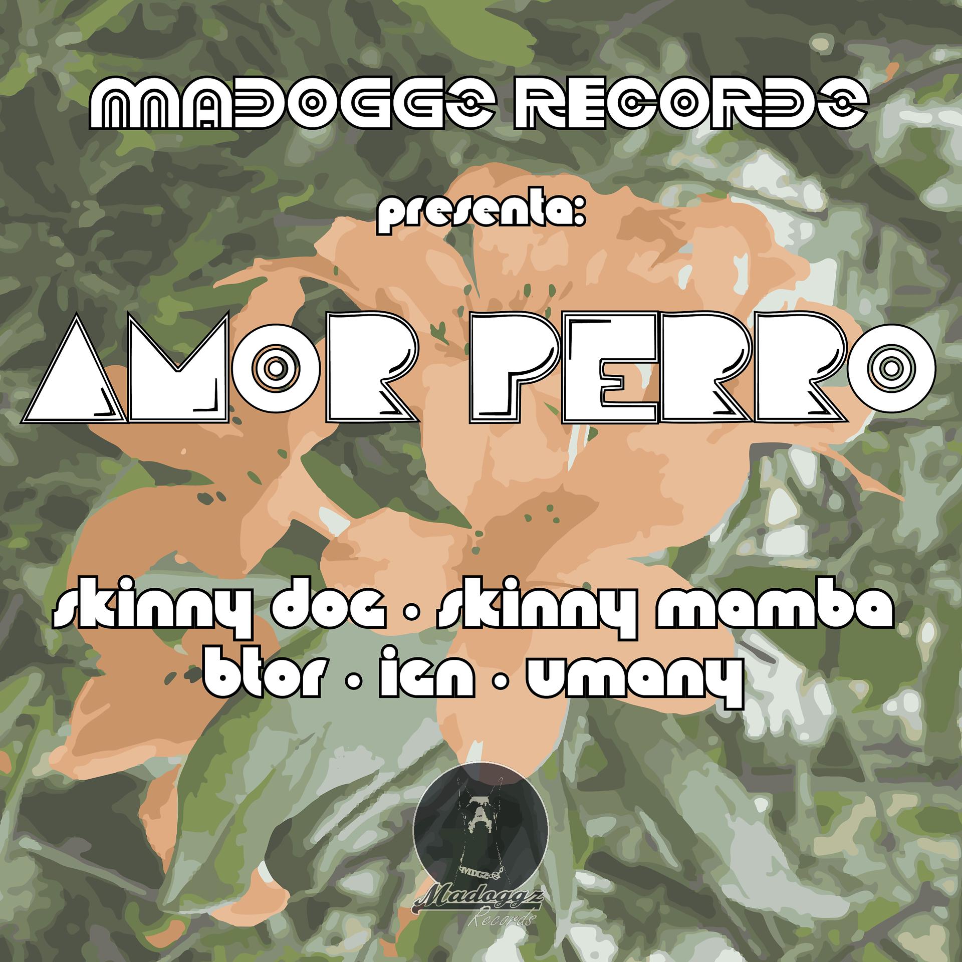Постер альбома Amor Perro