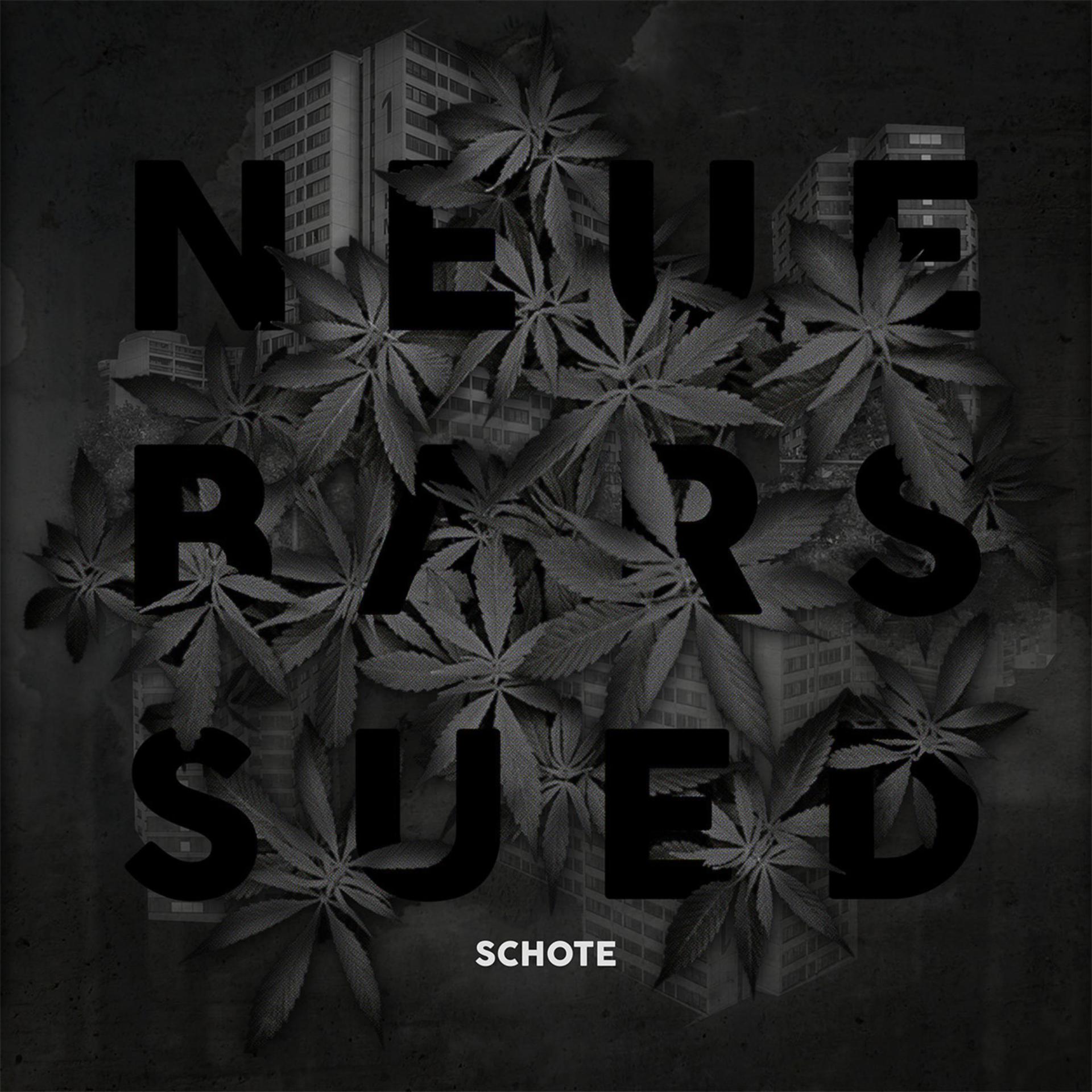 Постер альбома Neue Bars Sued