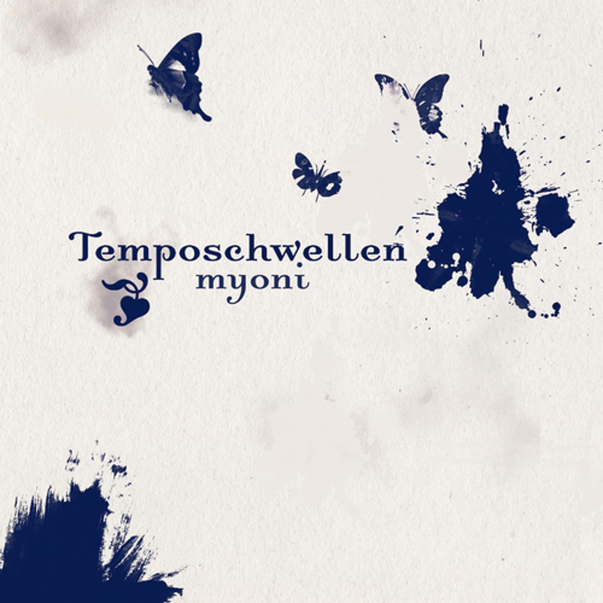 Постер альбома Temposchwellen