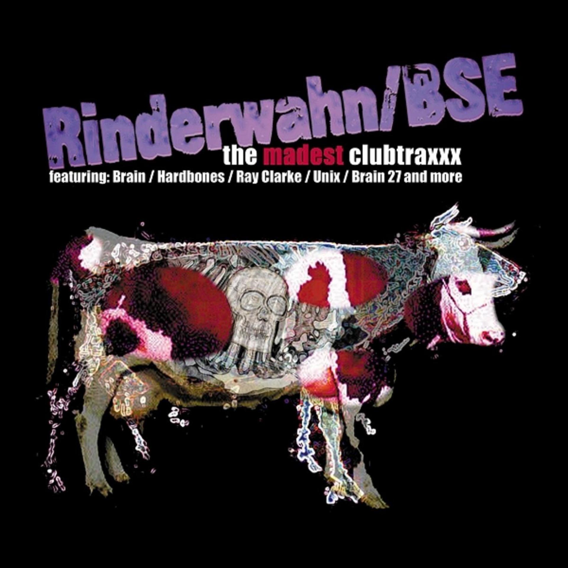 Постер альбома Rinderwahn / Bse