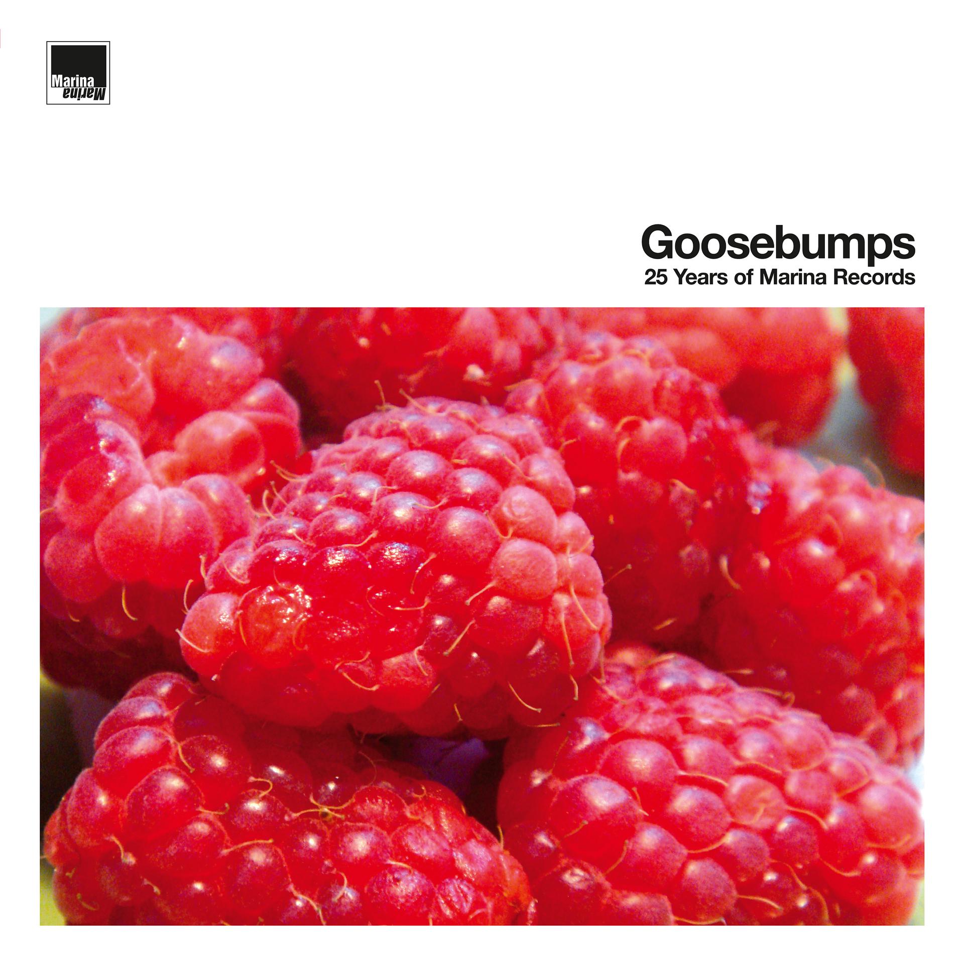 Постер альбома Goosebumps – 25 Years of Marina Records