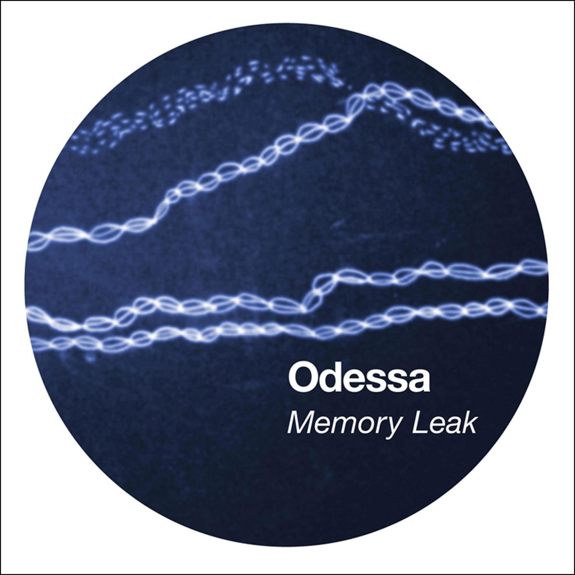 Постер альбома Memory Leak